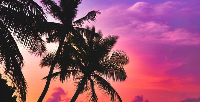 Pink Sky Sunset Wallpapers