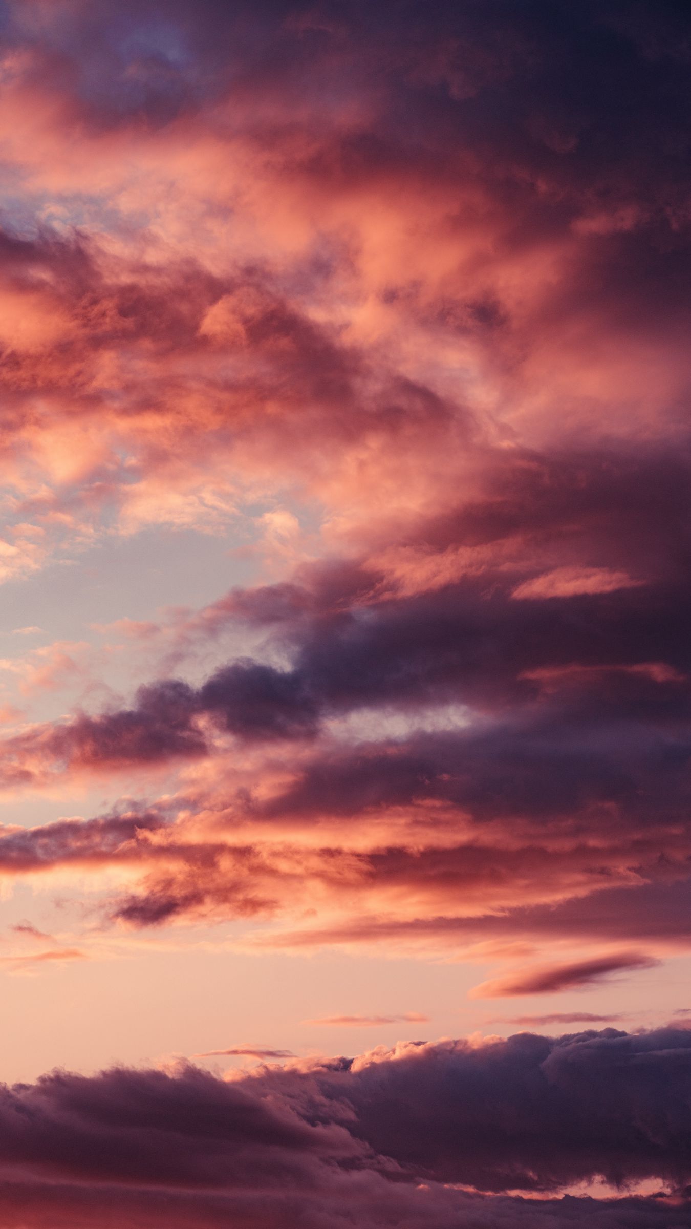 Pink Sunset Wallpapers