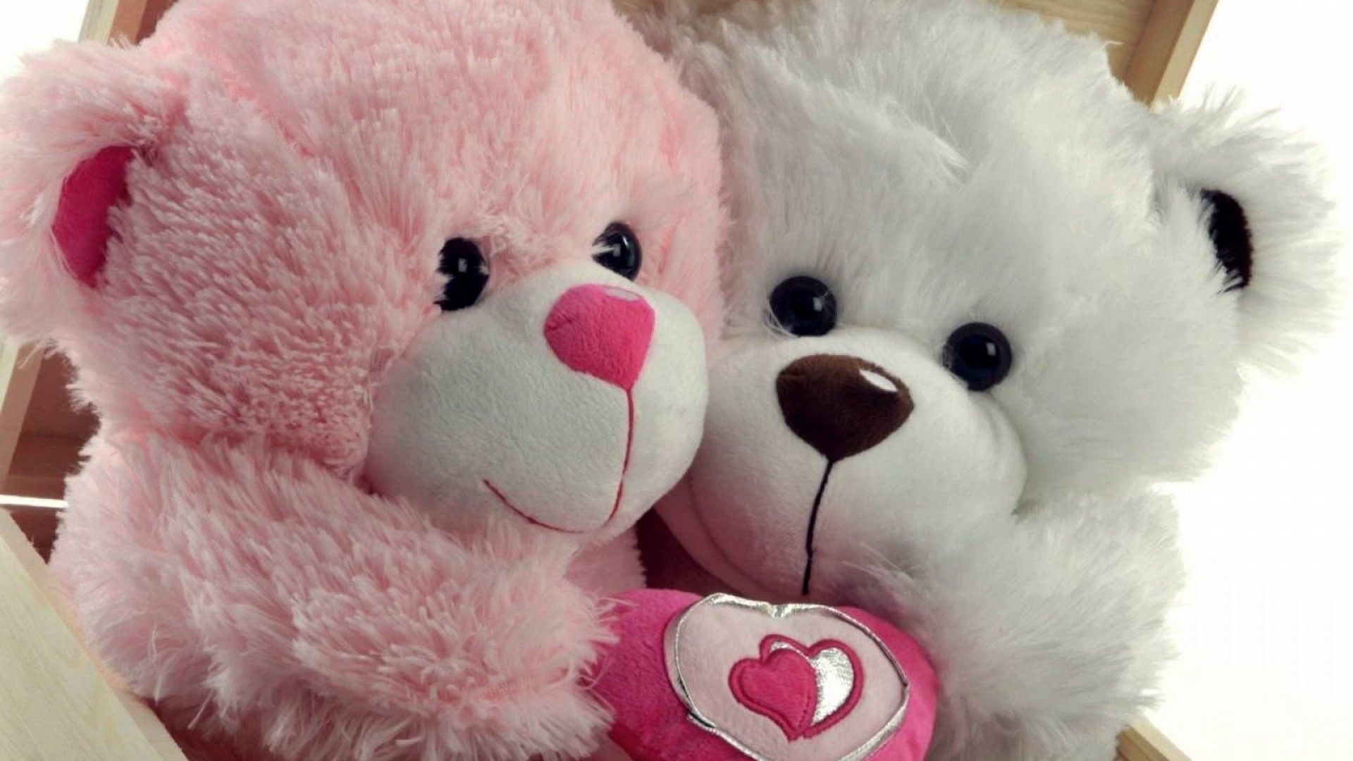 Pink Teddy Bear Wallpapers