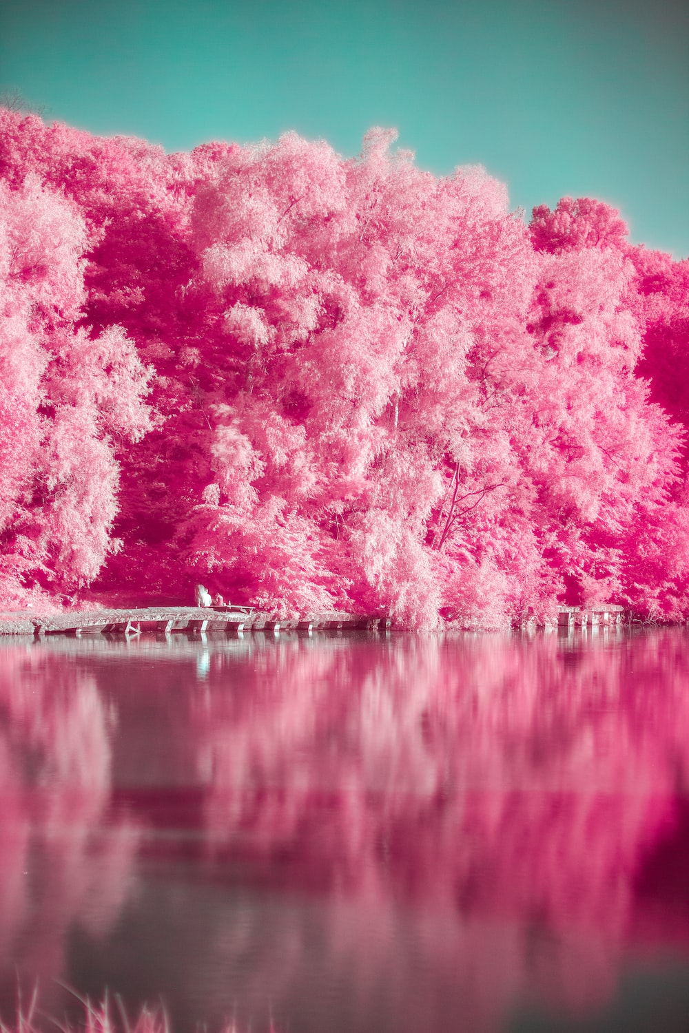 Pink Trees Wallpapers