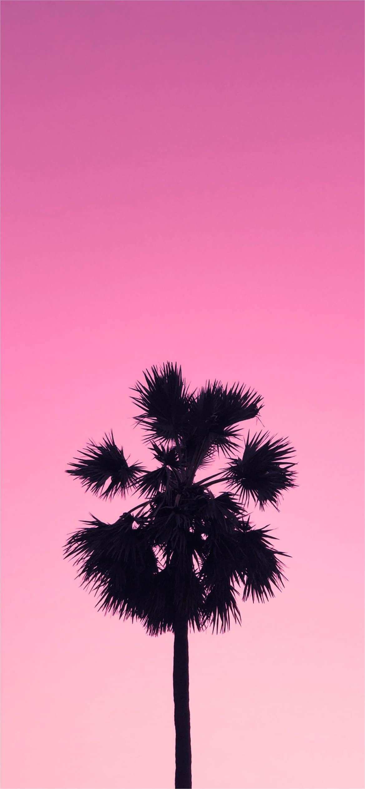 Pink Trees Wallpapers