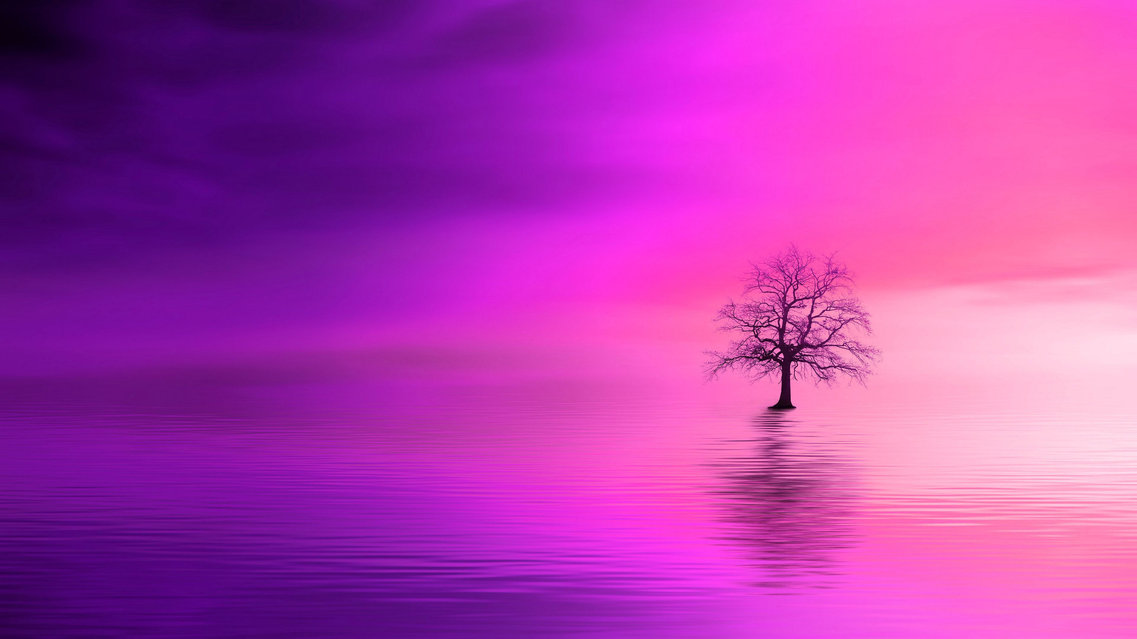 Pink Trees Wallpapers