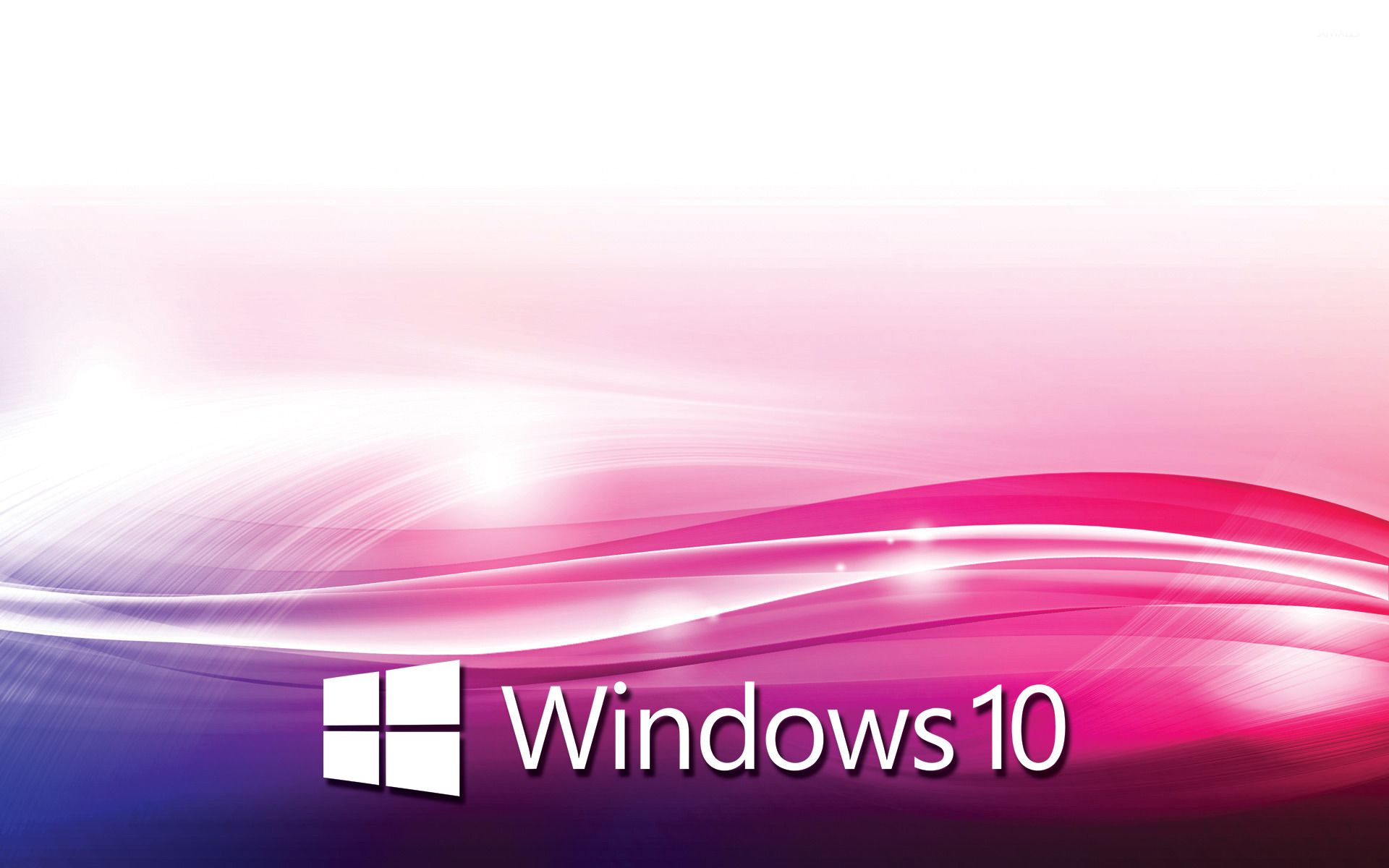 Pink Windows Wallpapers