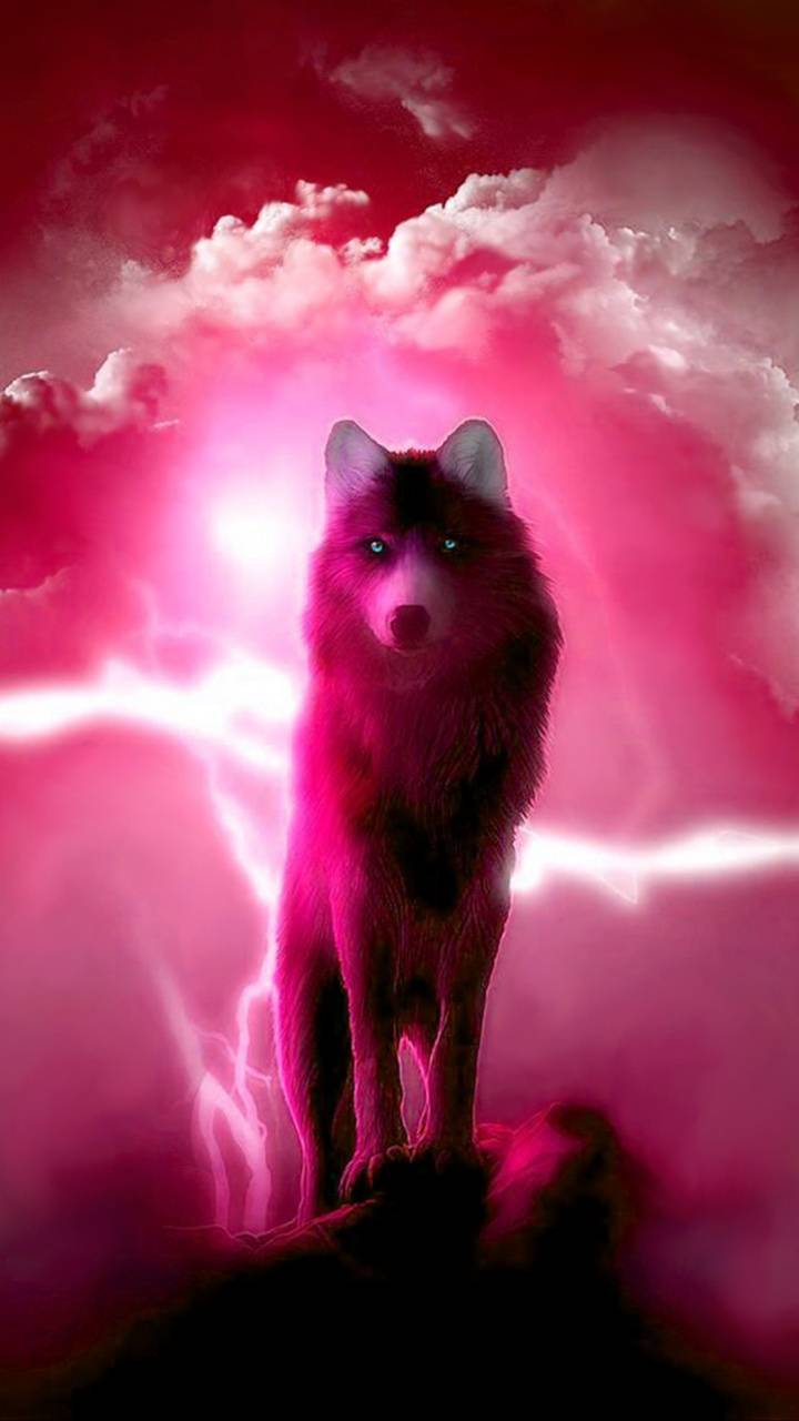 Pink Wolf Wallpapers