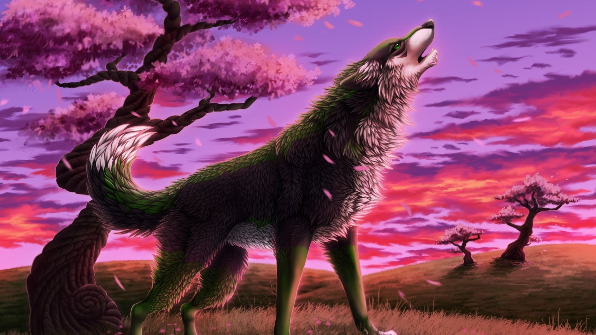 Pink Wolf Wallpapers