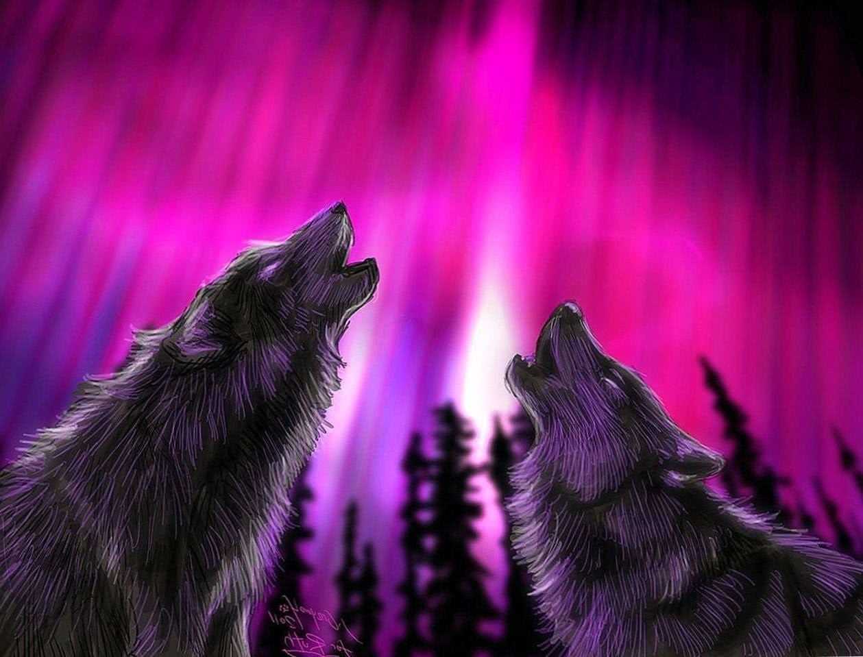 Pink Wolf Wallpapers