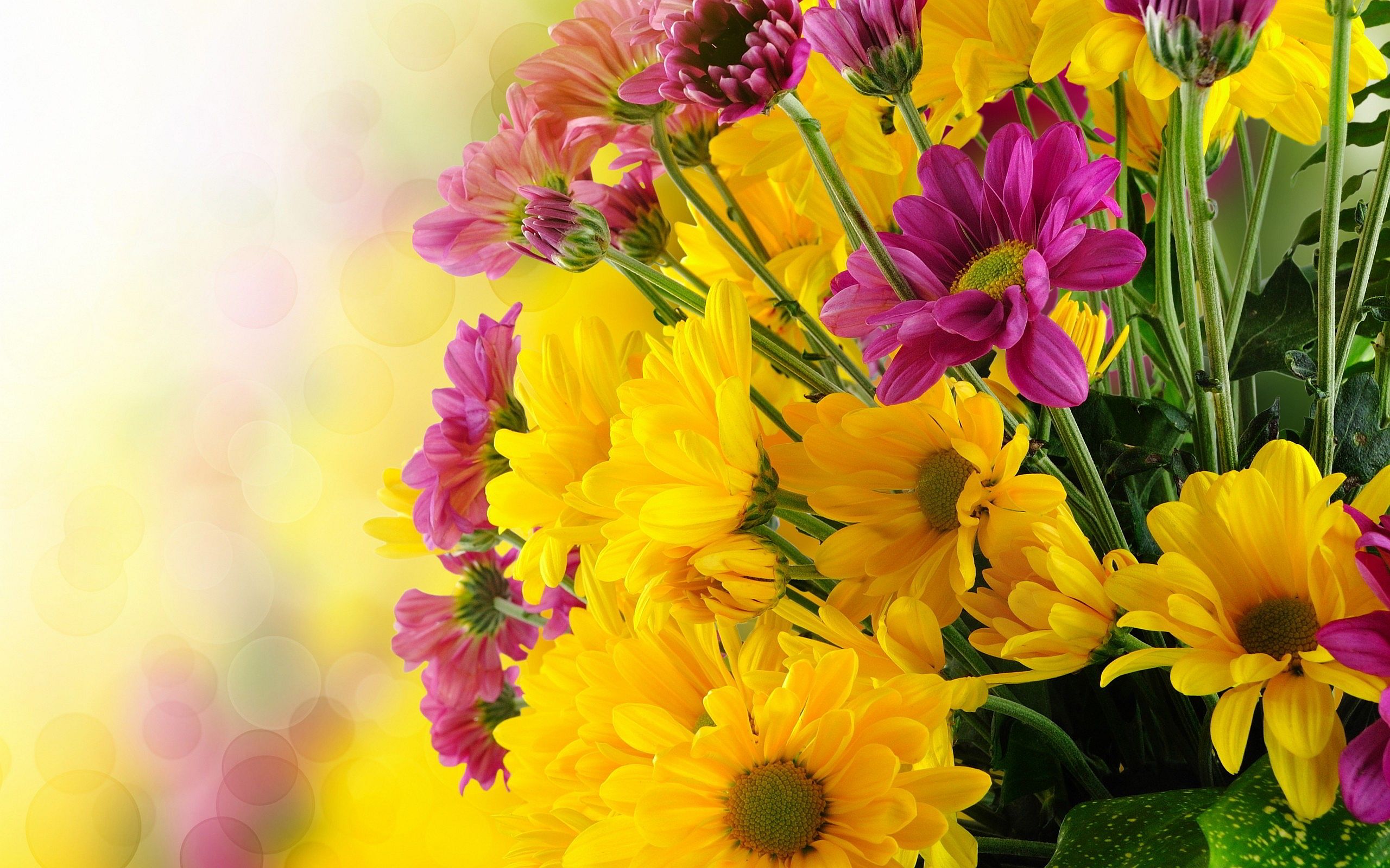 Pink Yellow Flower Wallpapers