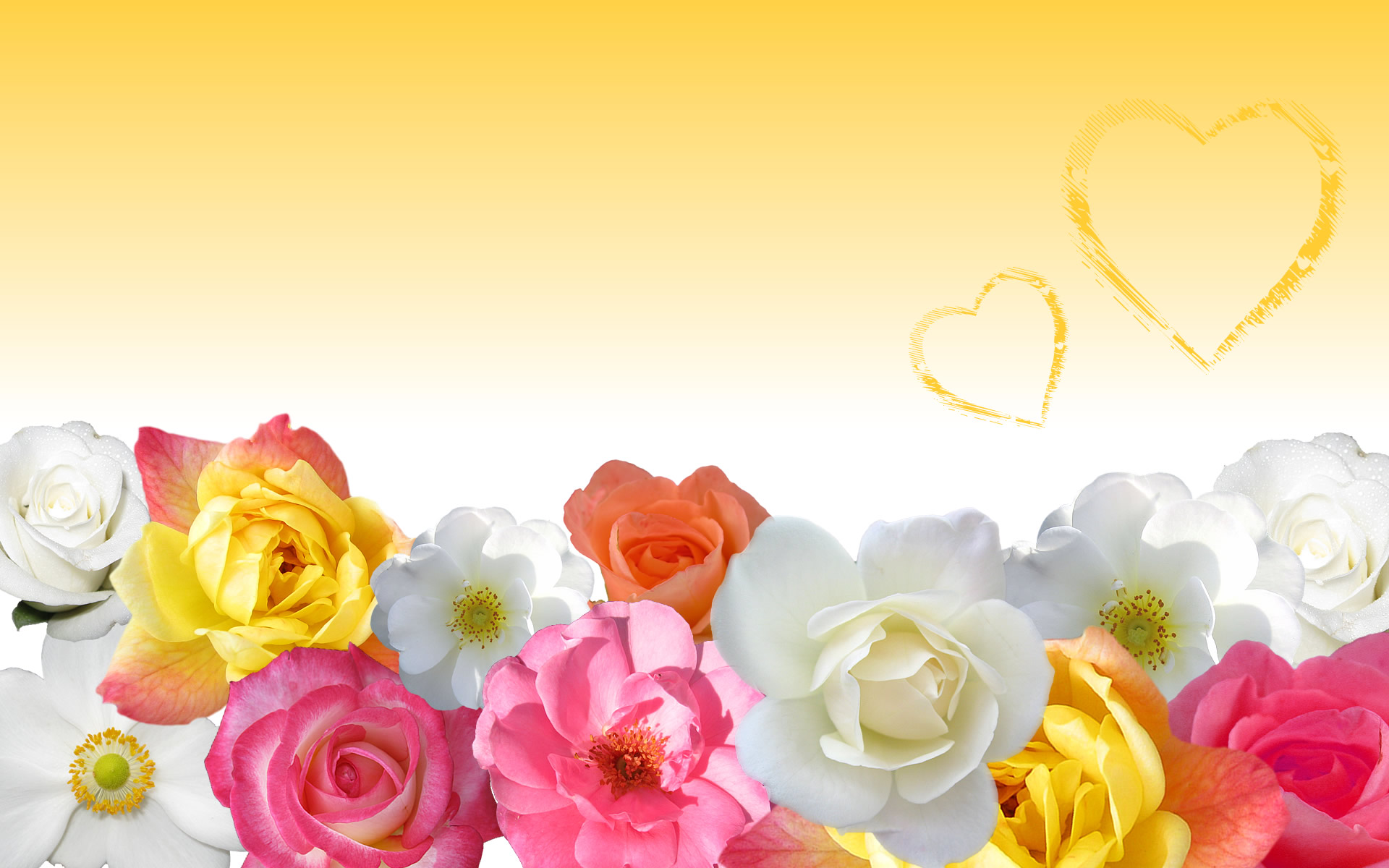 Pink Yellow Flower Wallpapers