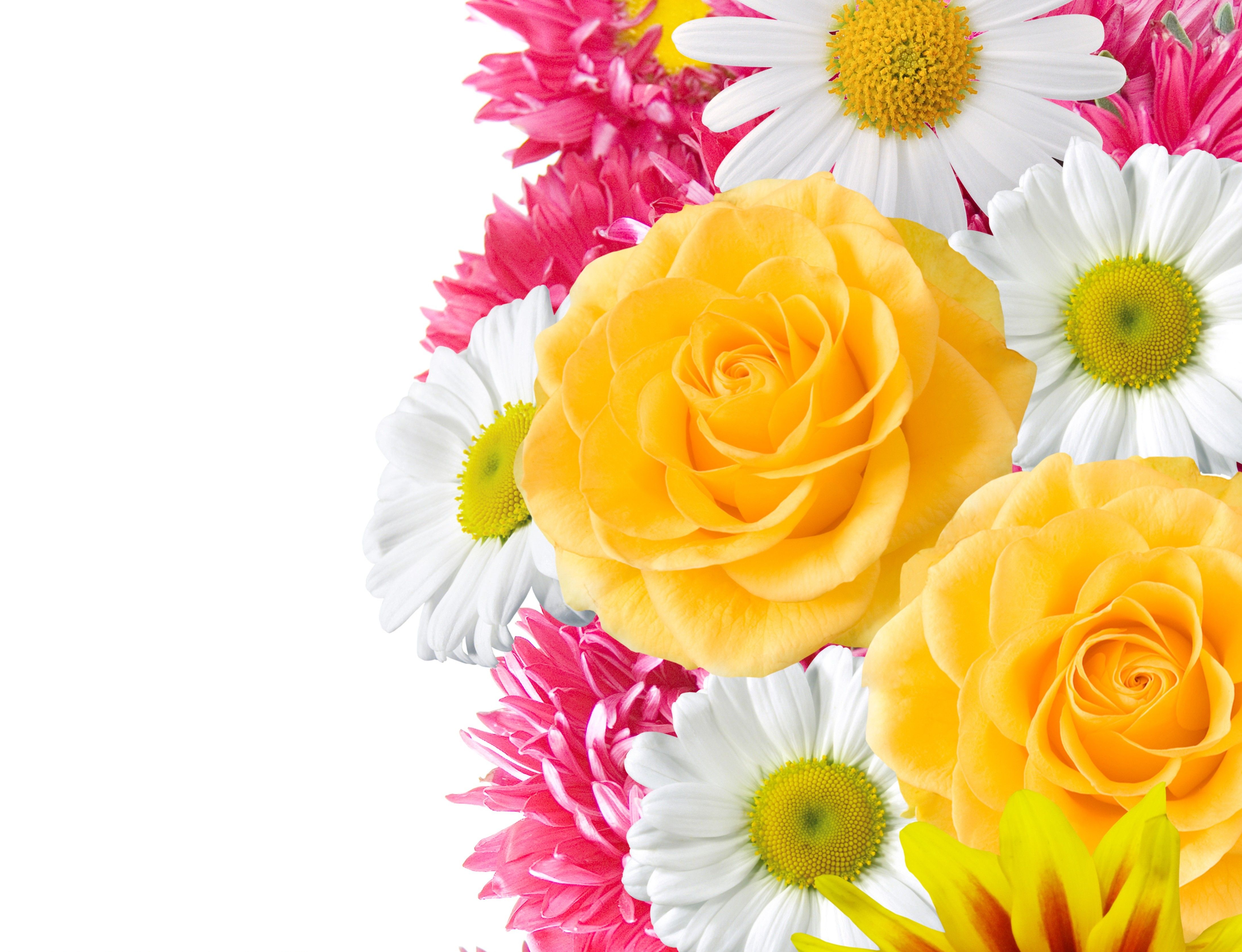 Pink Yellow Flower Wallpapers