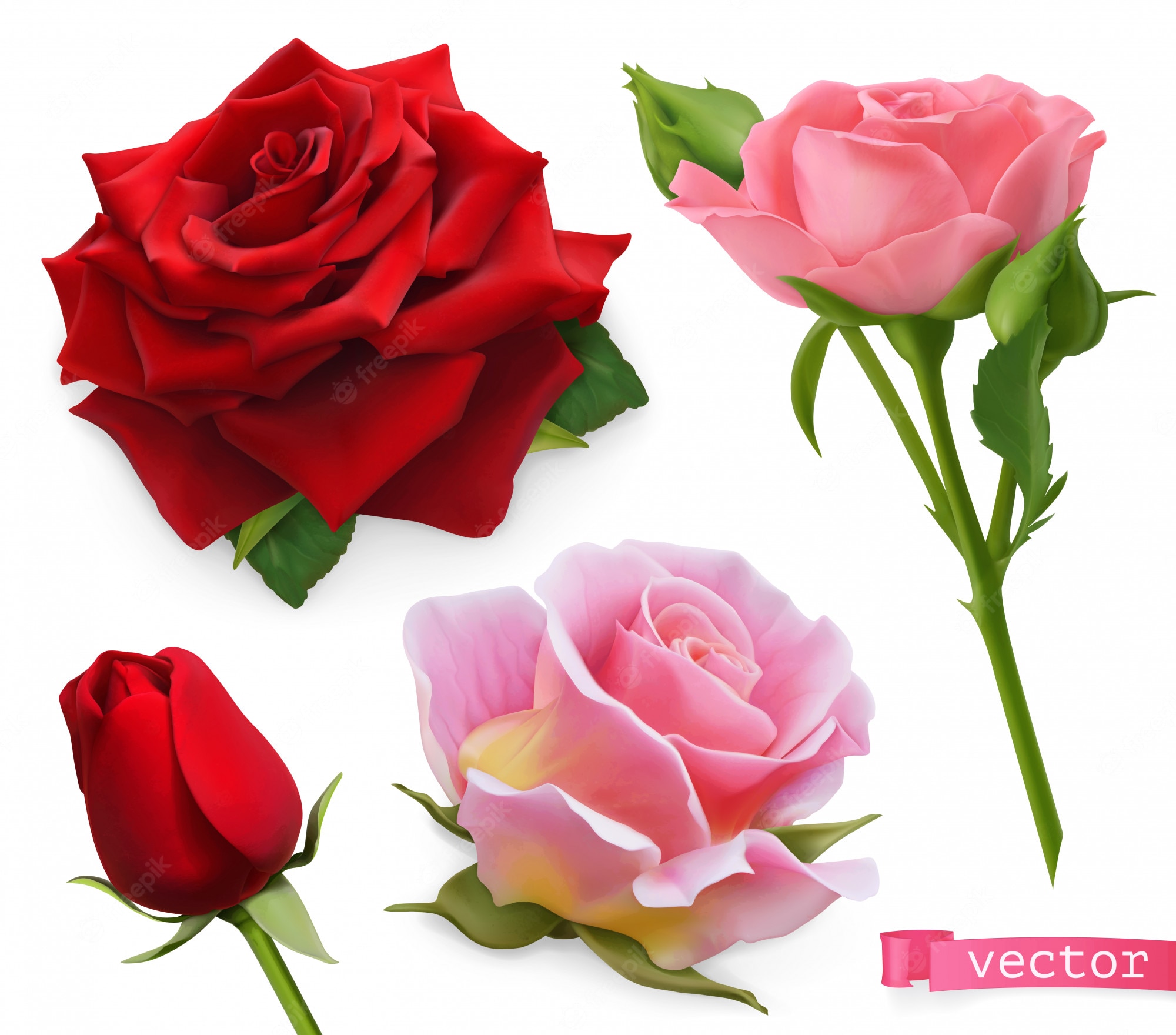 Red And Pink Roses Wallpapers