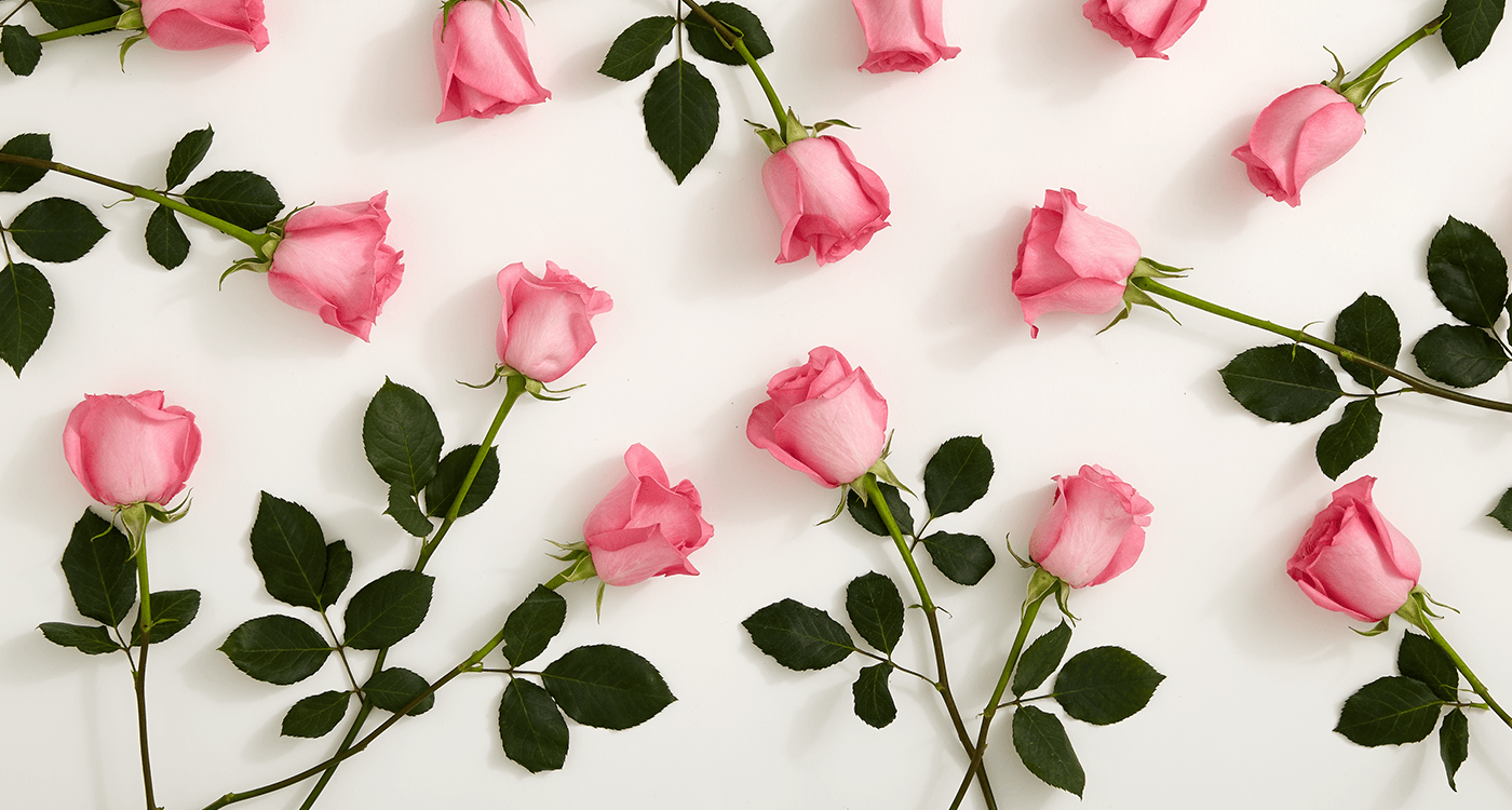 Red And Pink Roses Pics Wallpapers