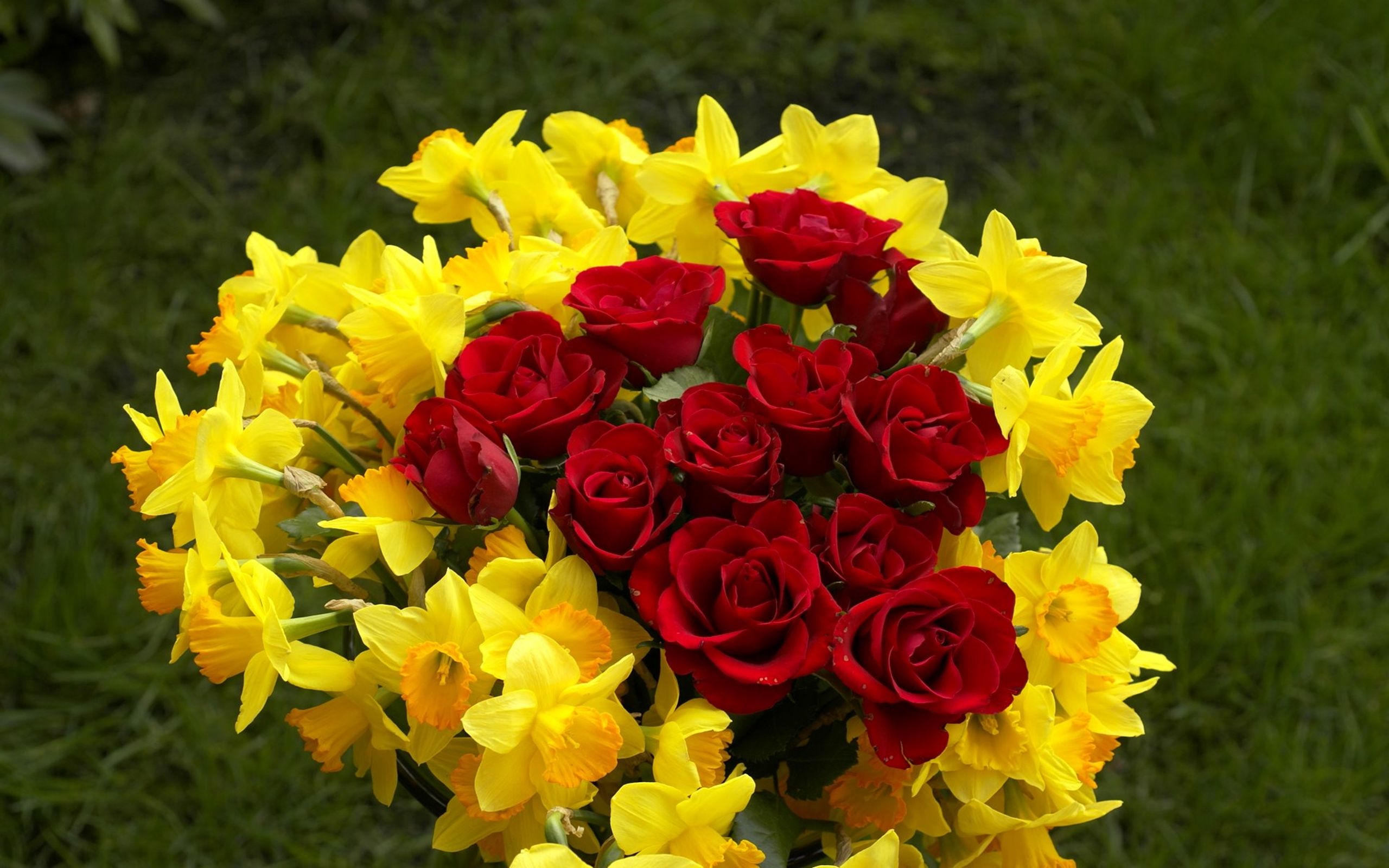 Red And Yellow Flowers Wallpapers