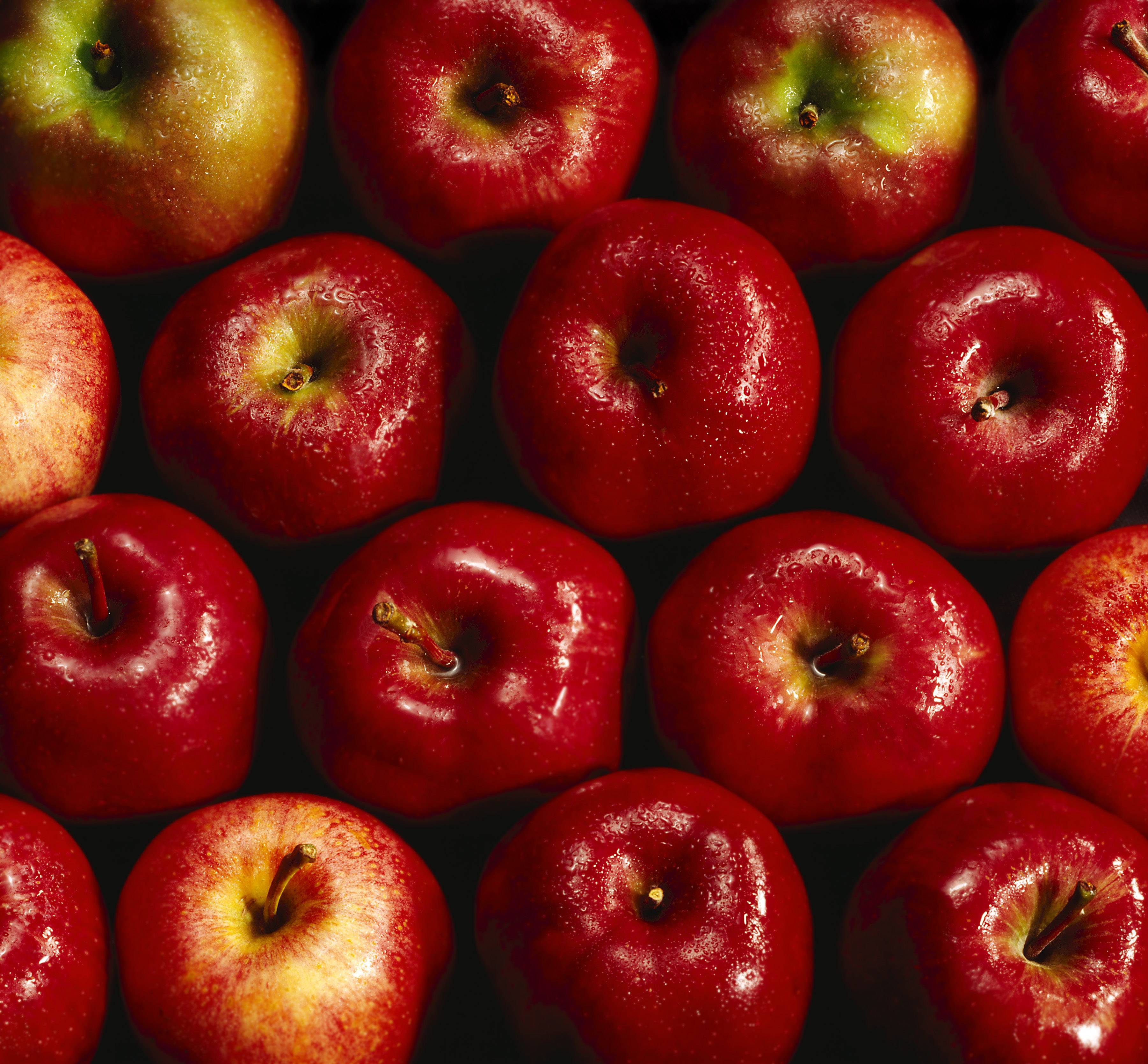 Red Apple Fruit Wallpapers