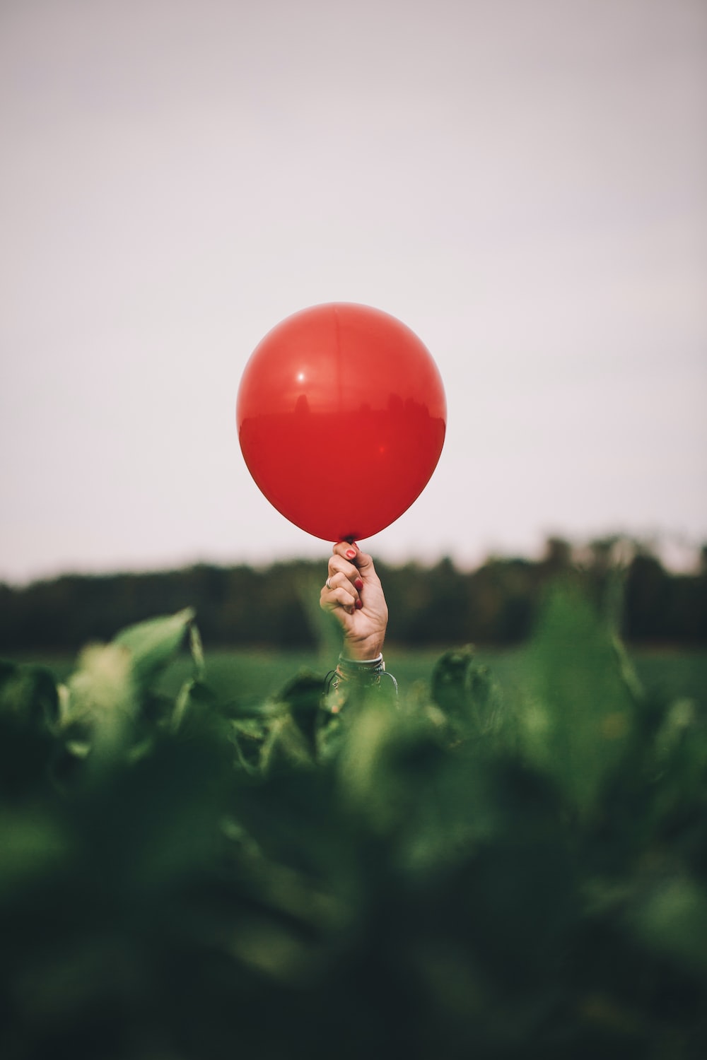 Red Balloon Wallpapers