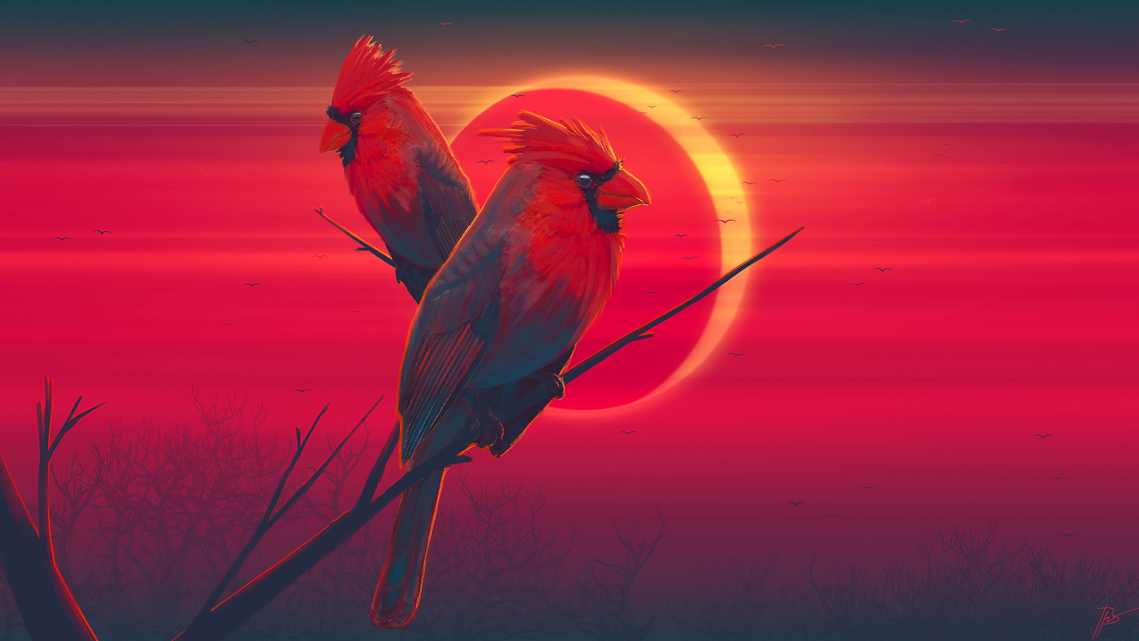 Red Bird Wallpapers