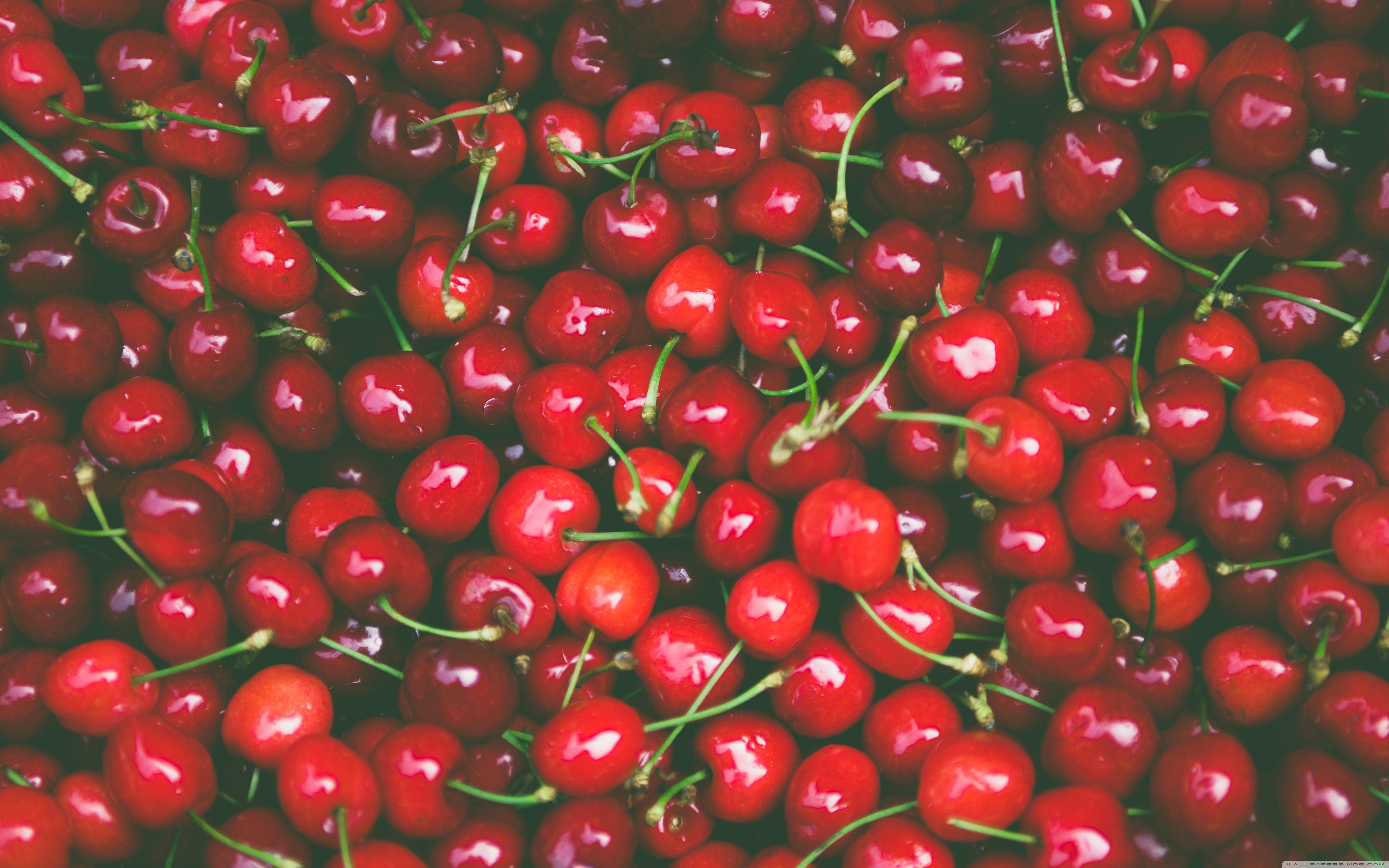 Red Cherry Hd Wallpapers