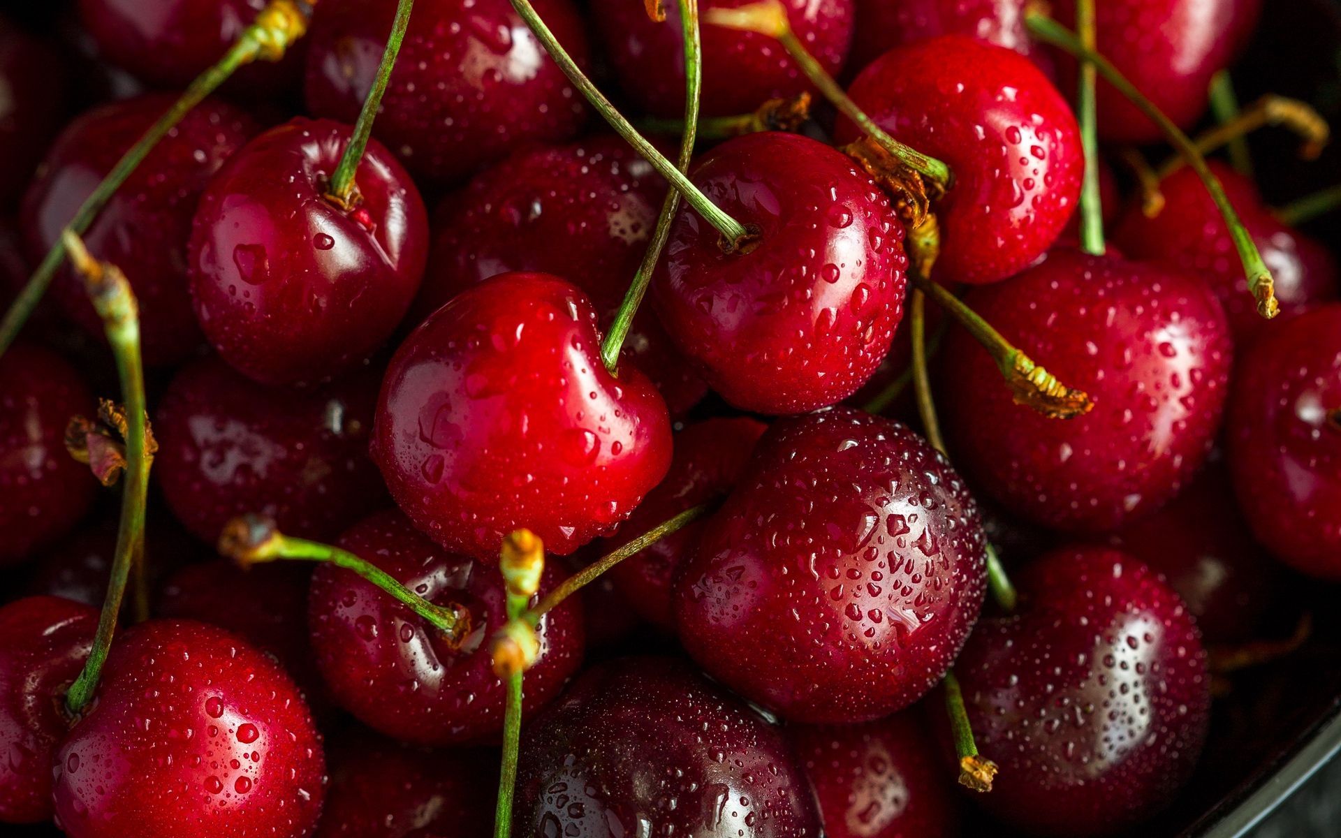 Red Cherry Hd Wallpapers