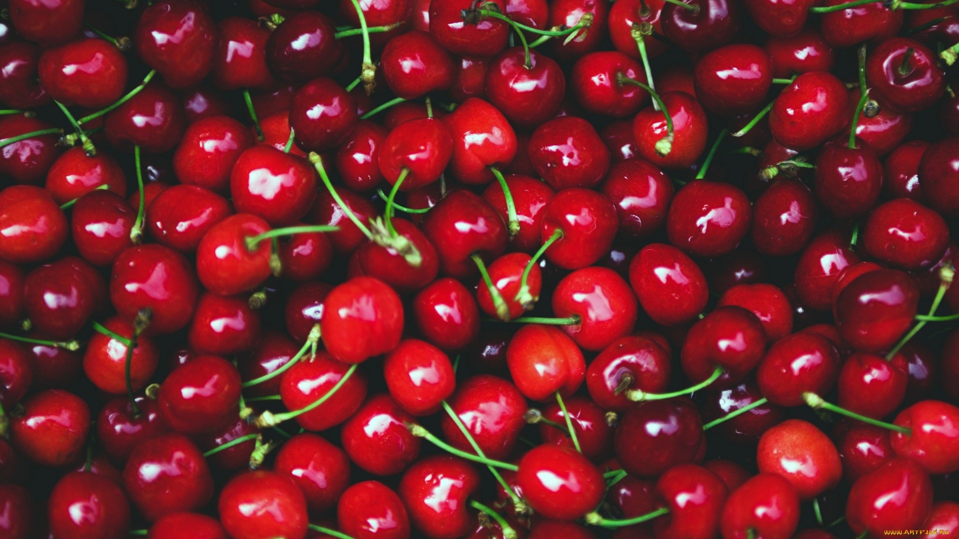 Red Cherry Hd Wallpapers