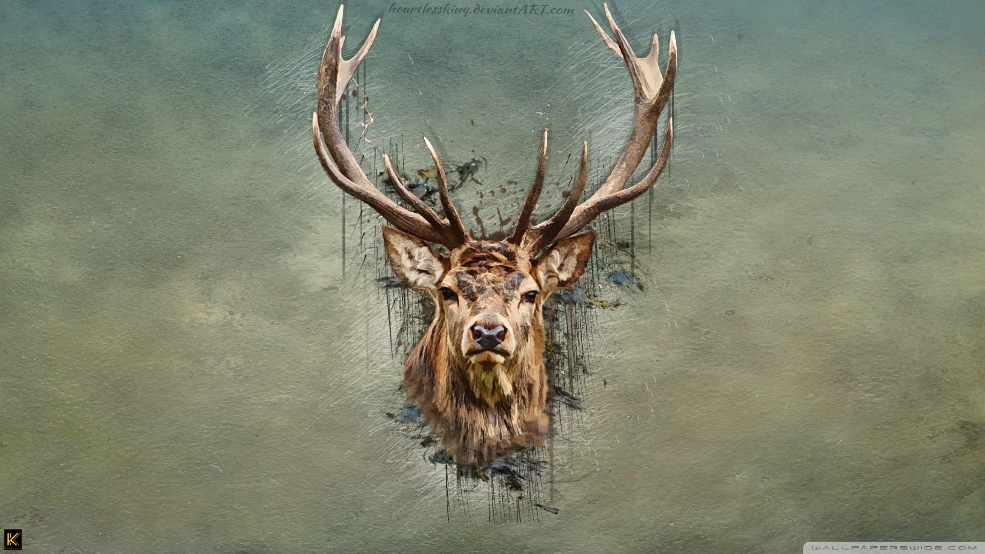 Red Deer Skull Wallpapers