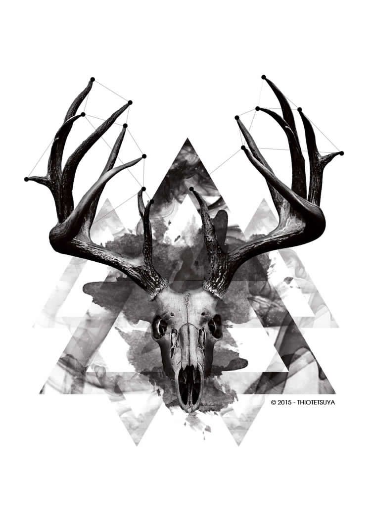Red Deer Skull Wallpapers