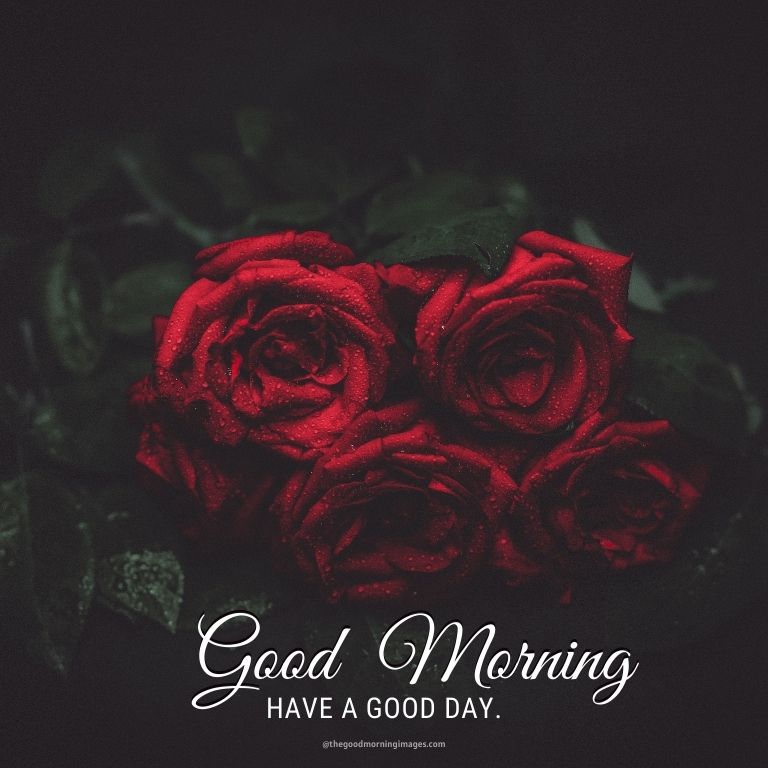 Red Good Morning Wallpapers