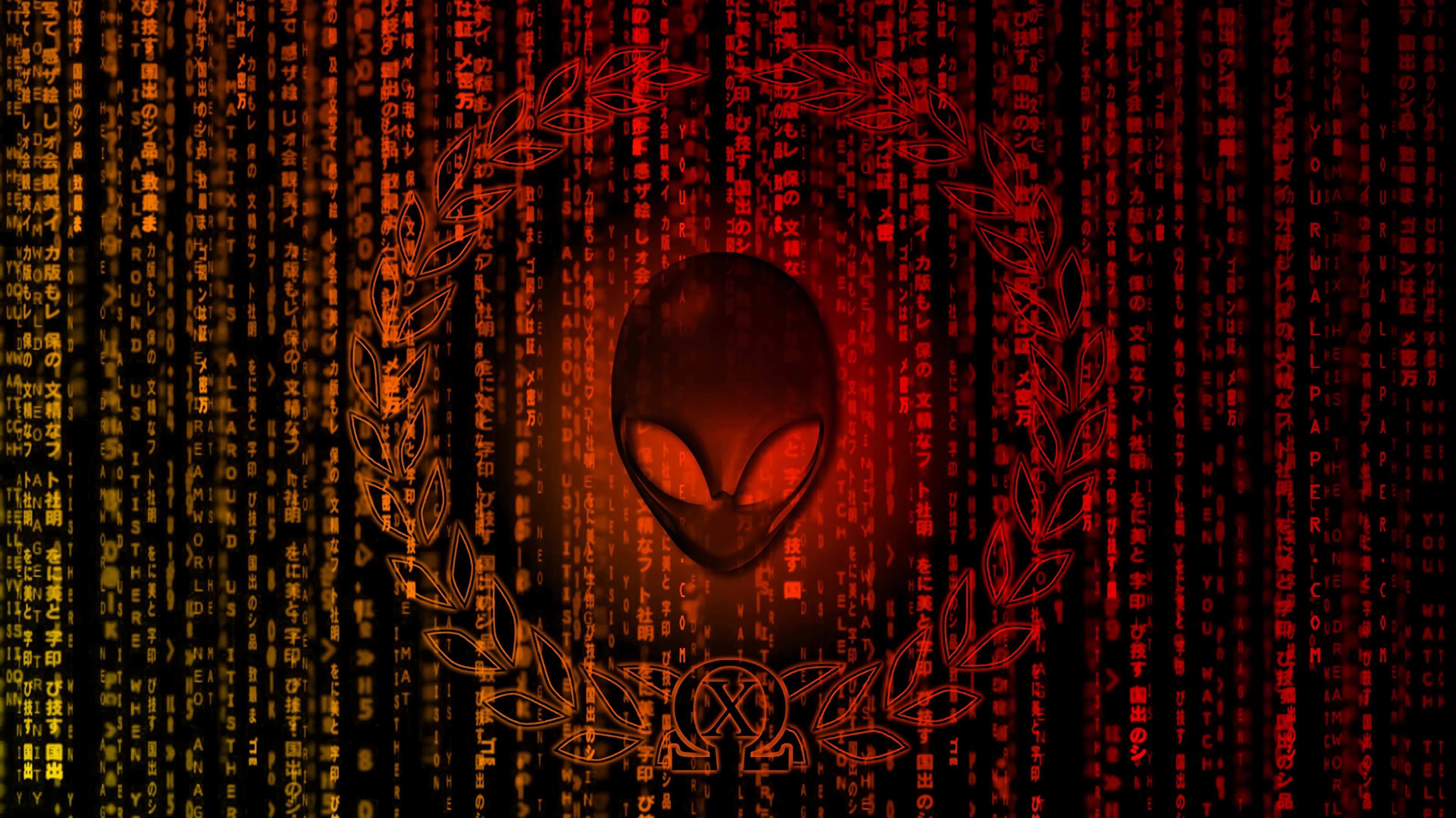 Red Matrix Wallpapers