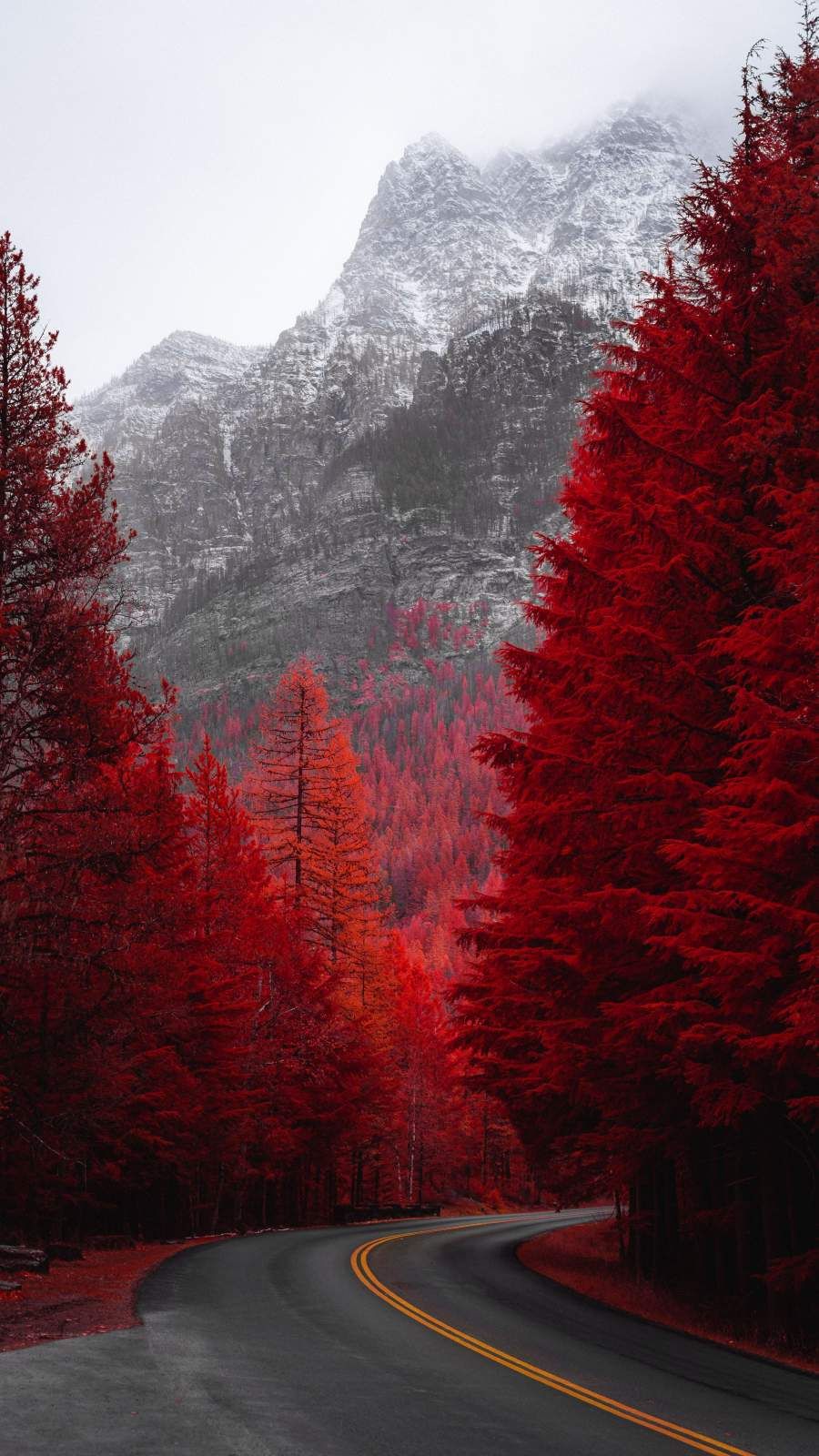 Red Nature Wallpapers