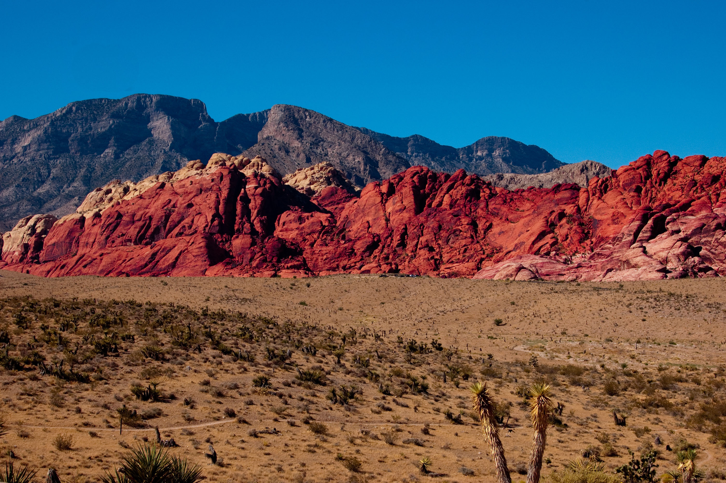 Red Rock Wallpapers