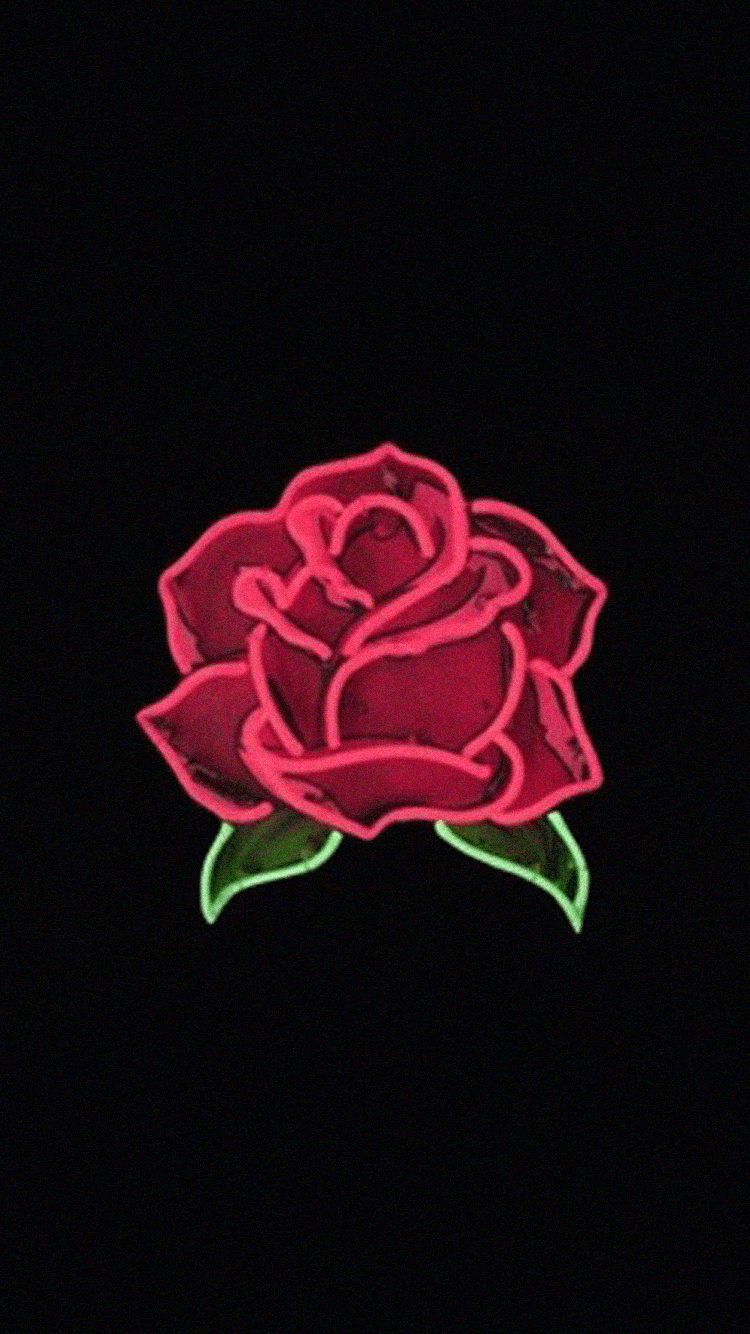 Red Rose Aesthetic Wallpapers