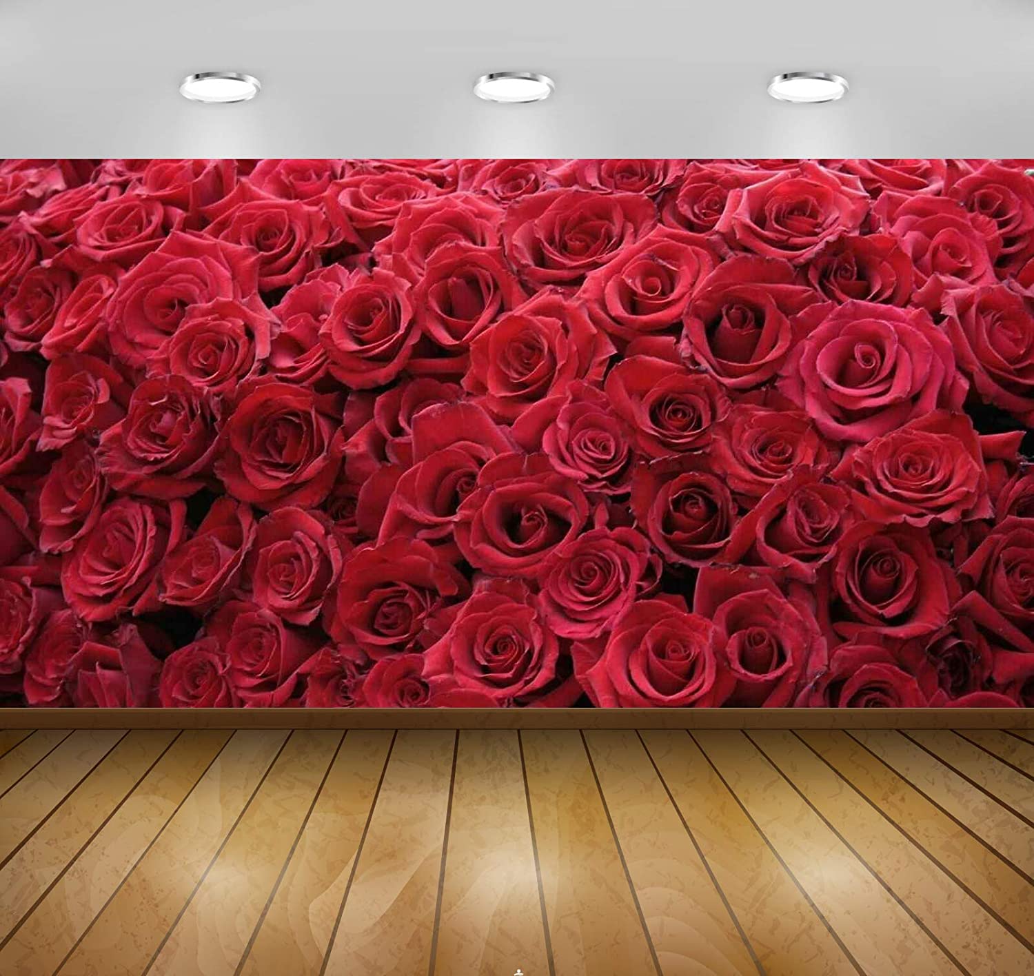 Red Rose Flower Wallpapers