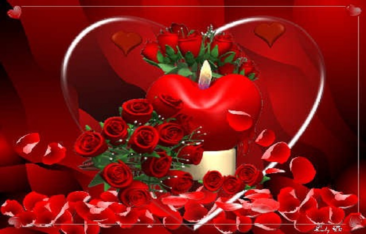 Red Rose Love Wallpapers