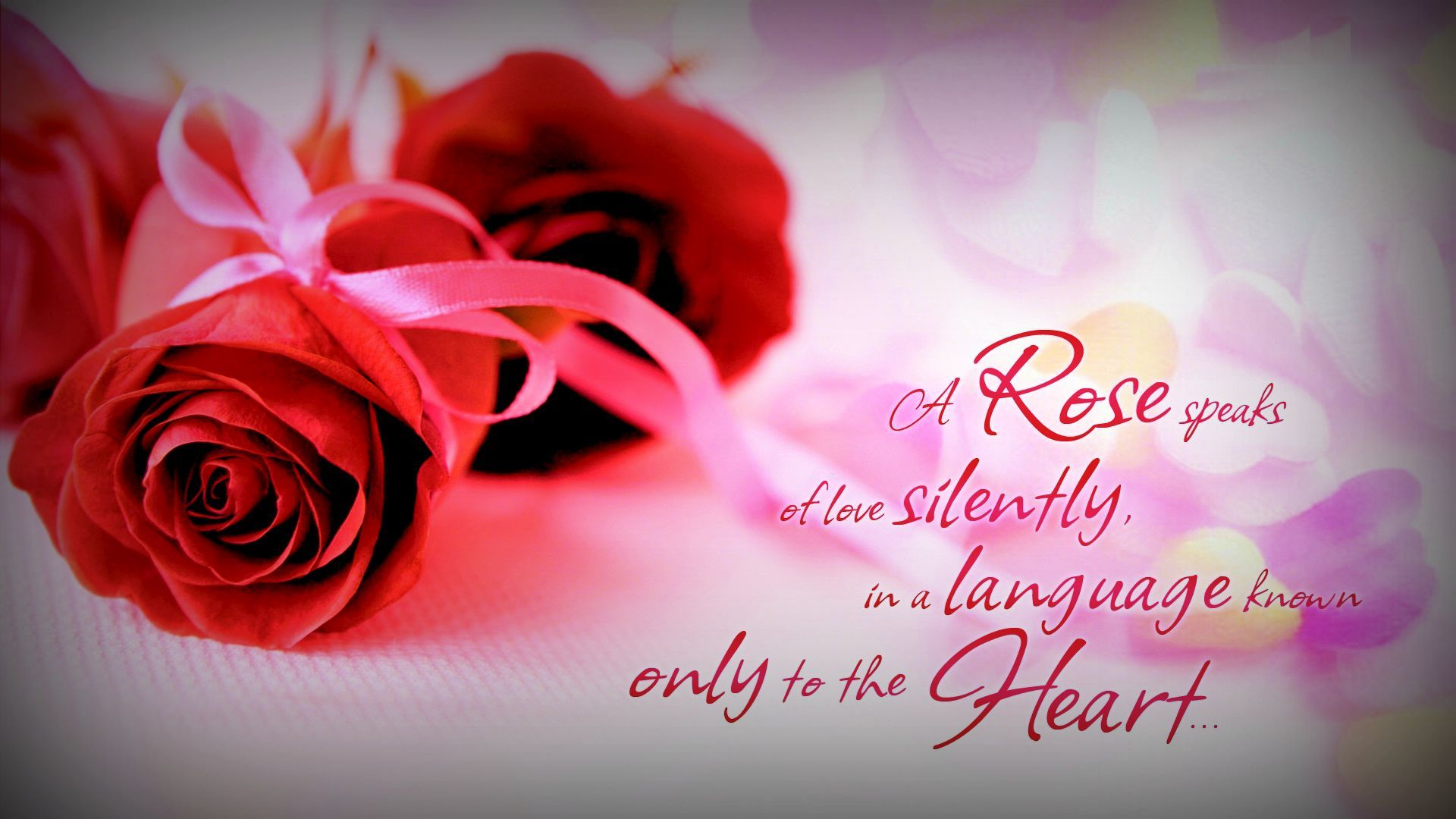 Red Rose Love Wallpapers