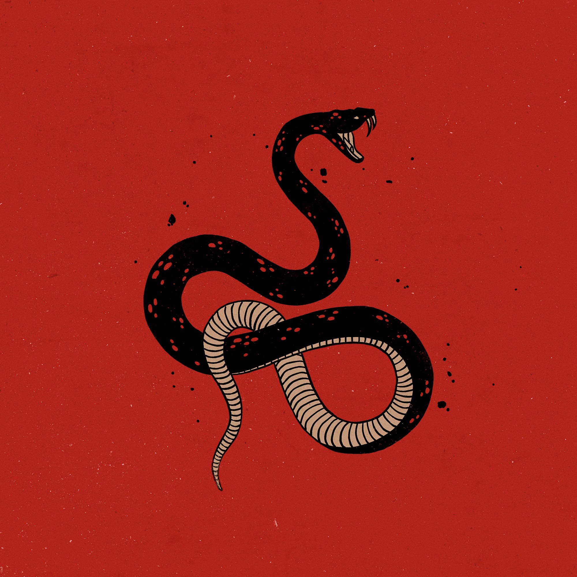 Red Snake Aesthetics Wallpapers