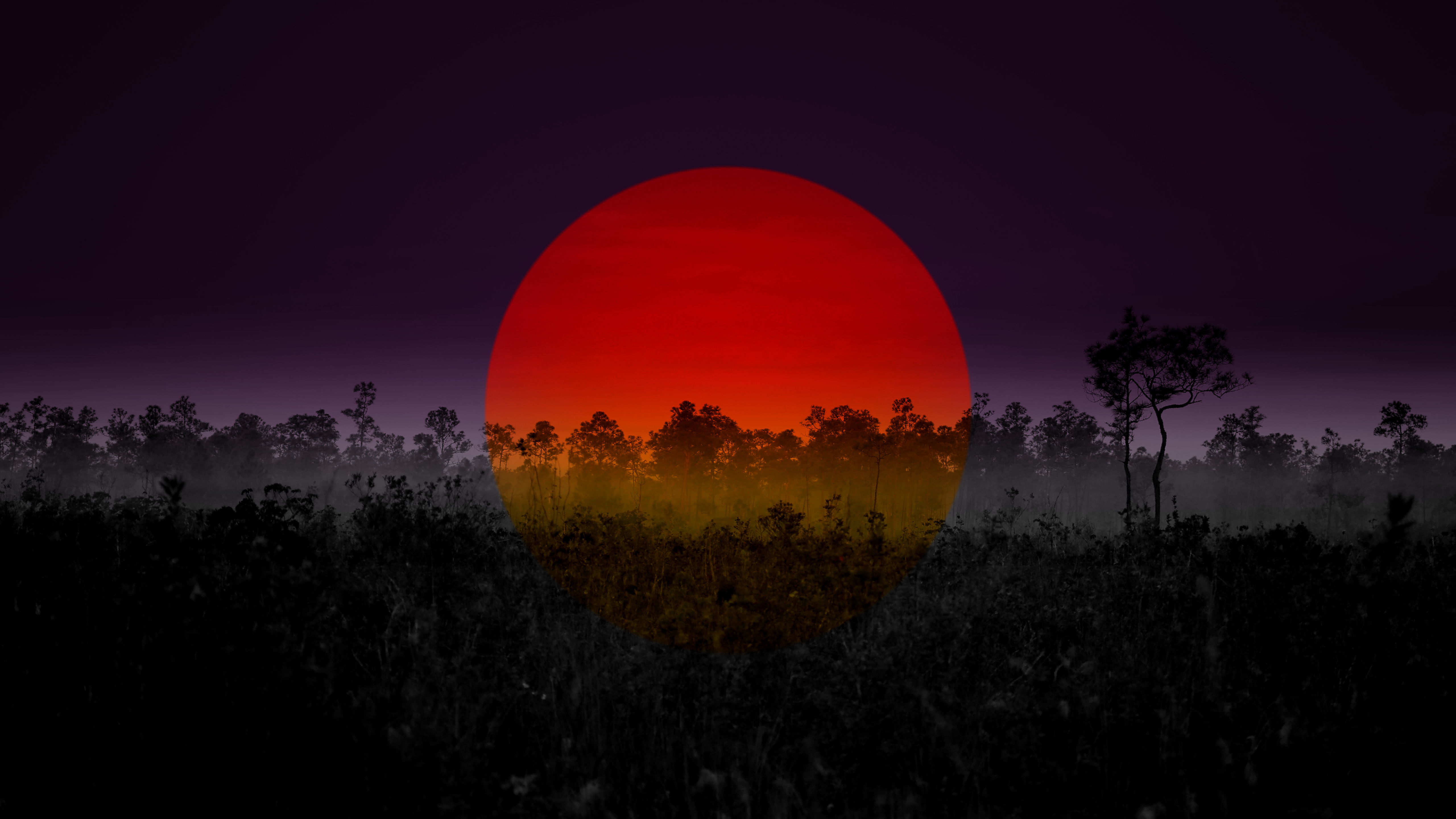 Red Sun Wallpapers