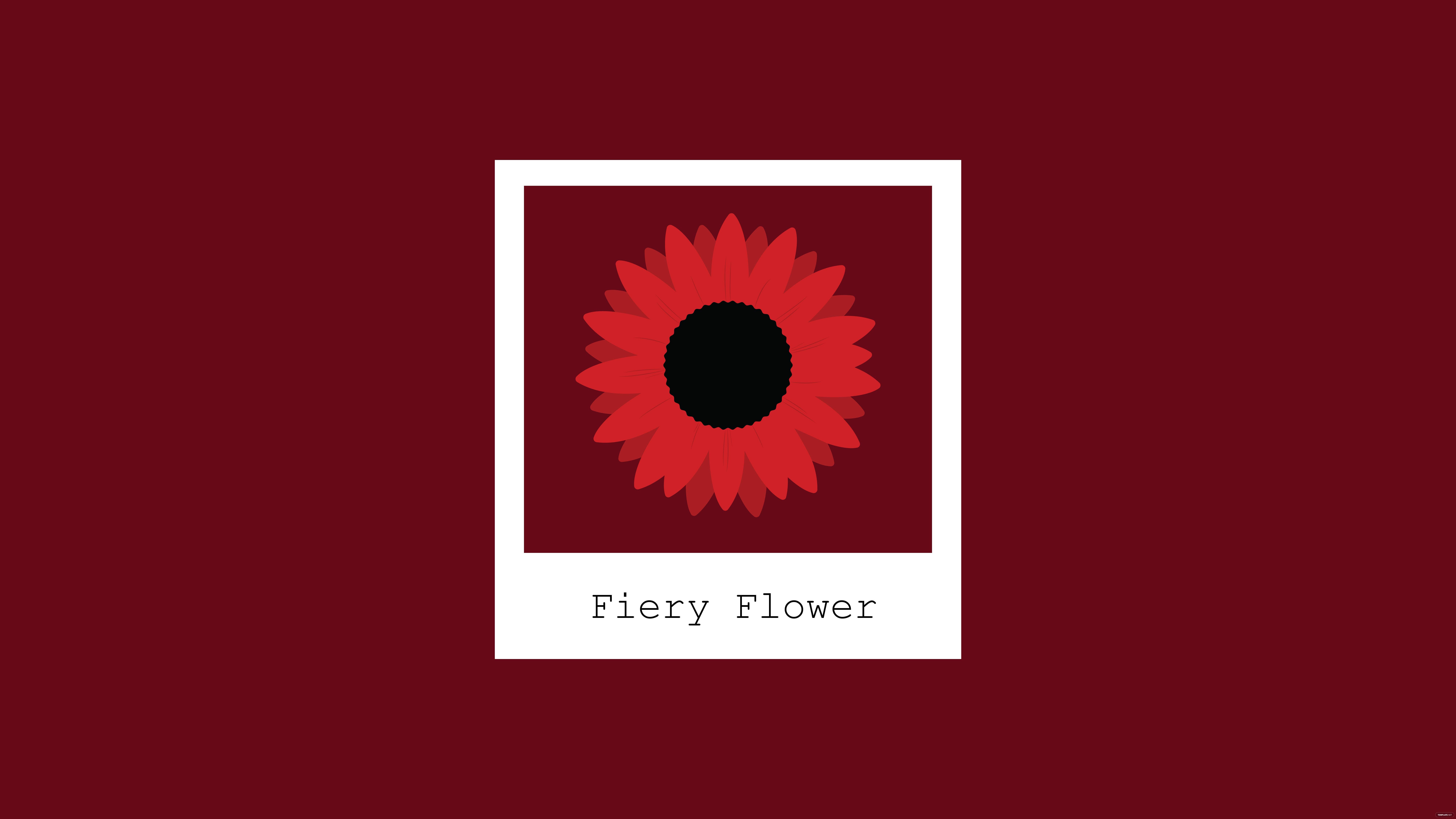 Red Sunflower Wallpapers