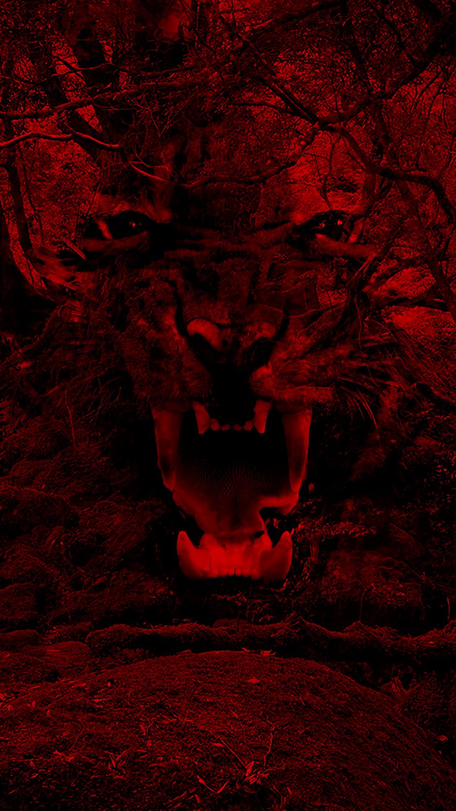 Red Tiger Wallpapers