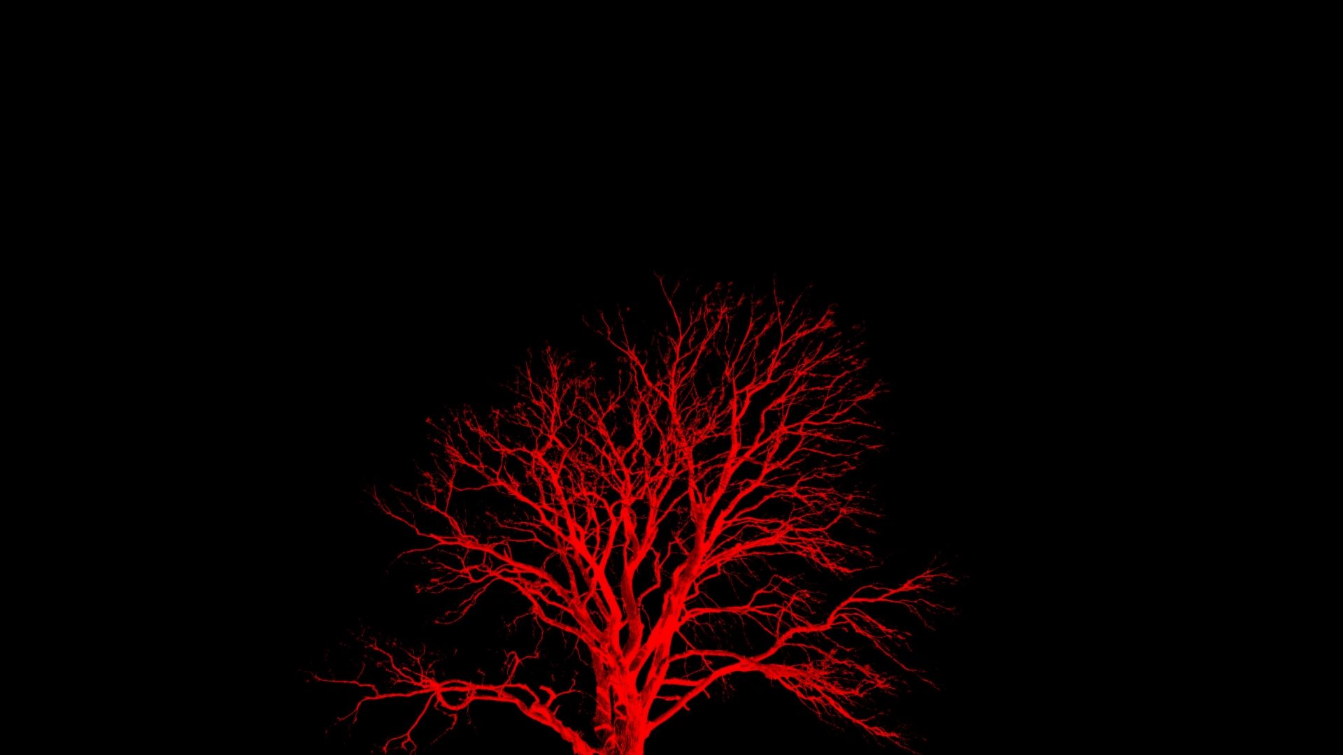 Red Tree Wallpapers