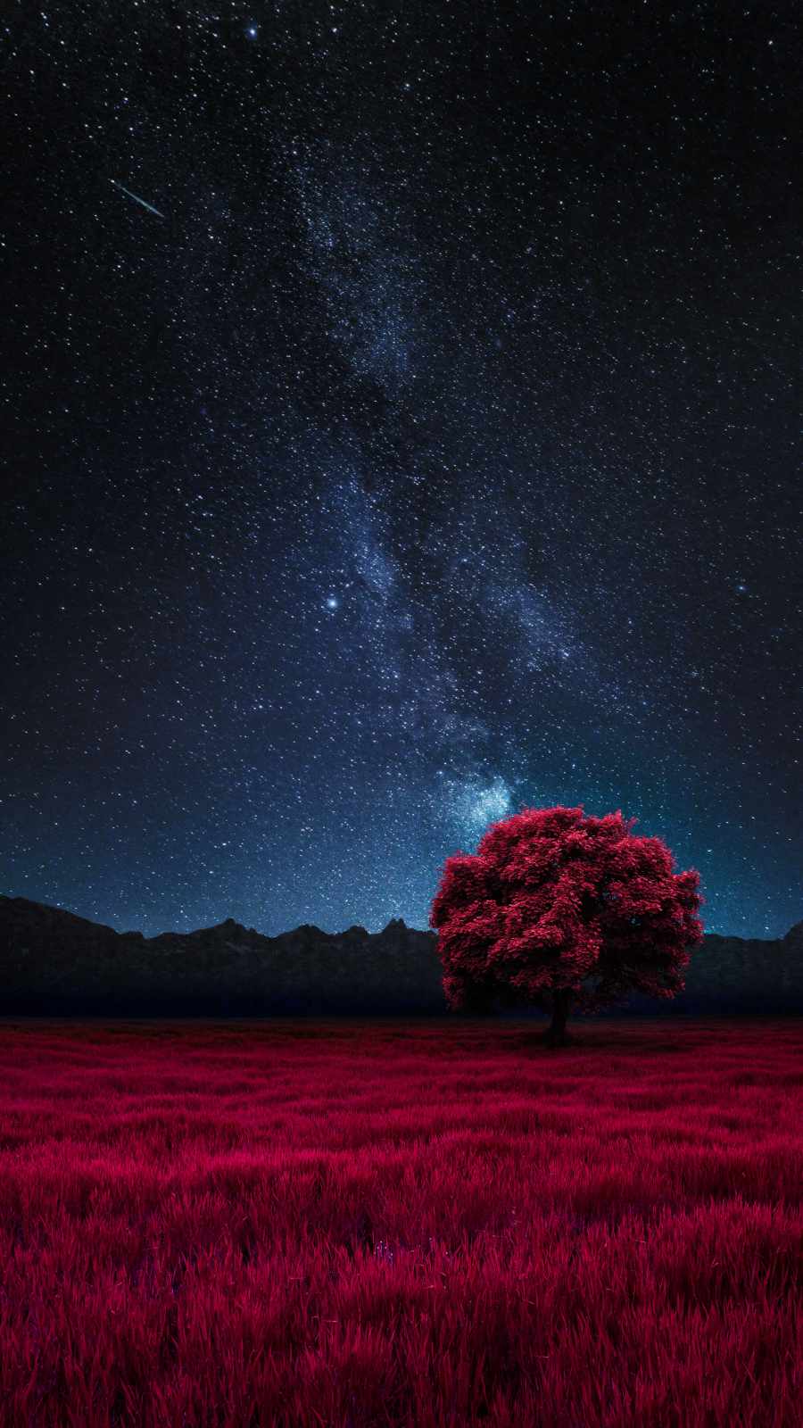 Red Tree Wallpapers