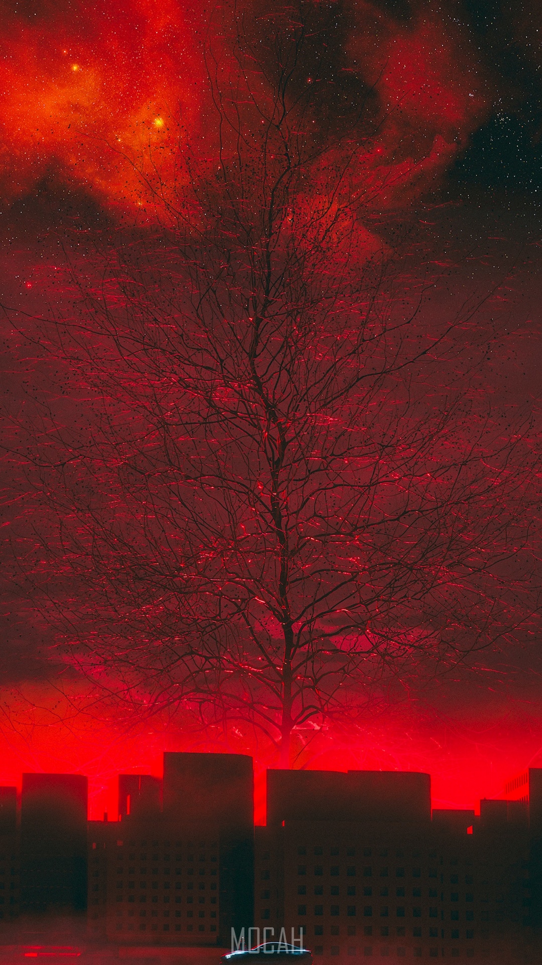 Red Tree Wallpapers