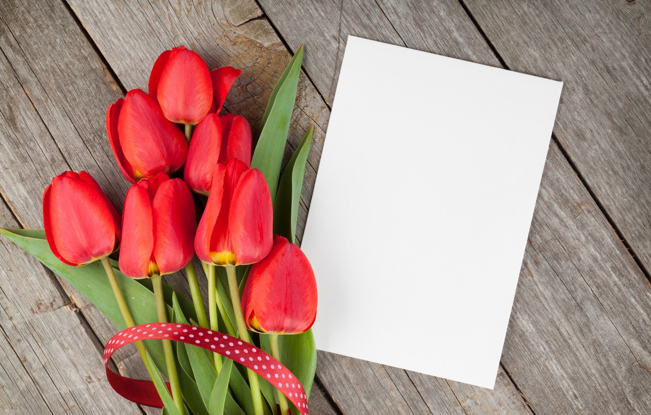 Red Tulips Wallpapers