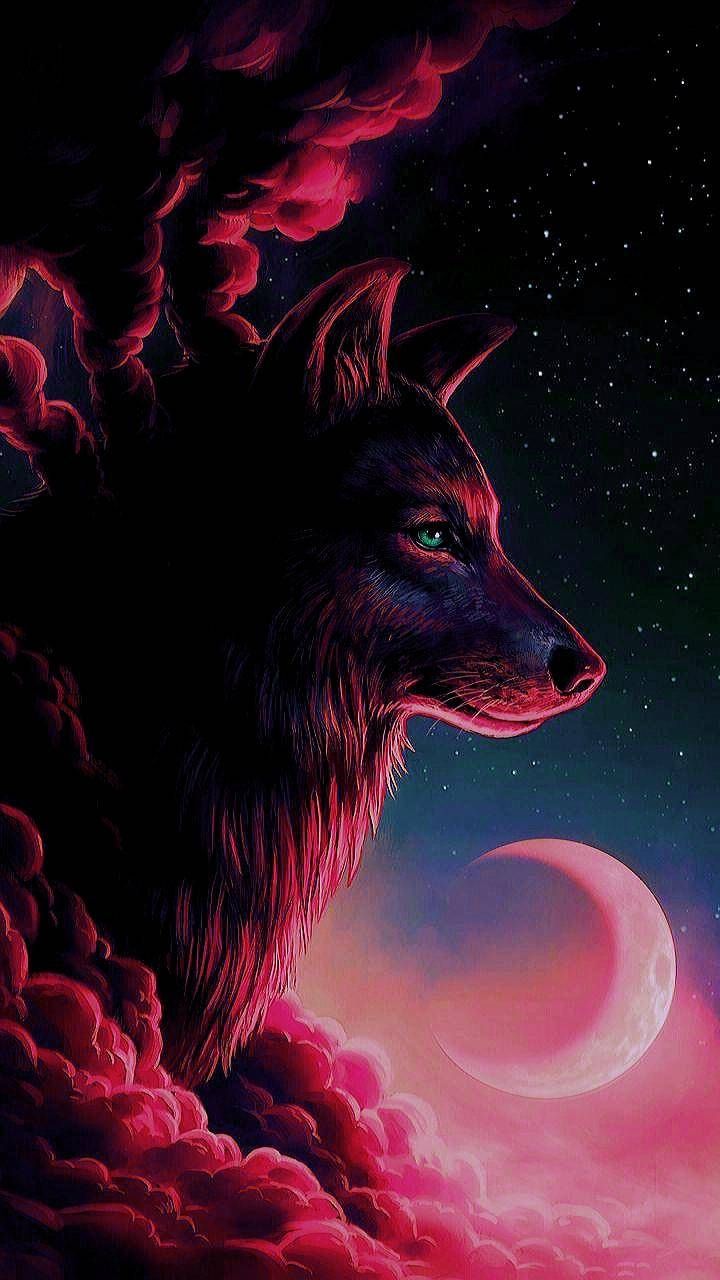 Red Wolf Wallpapers