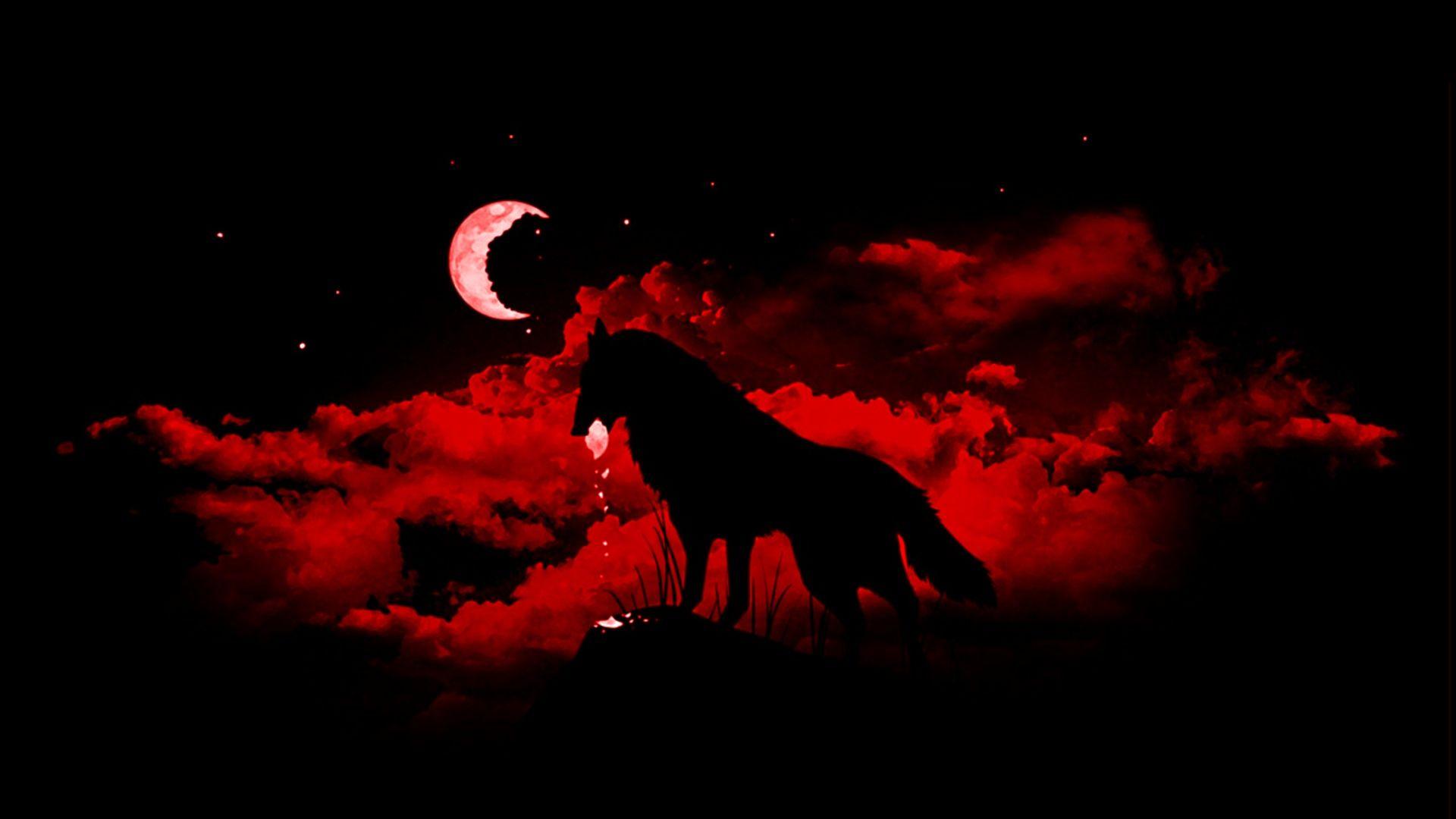 Red Wolf Wallpapers