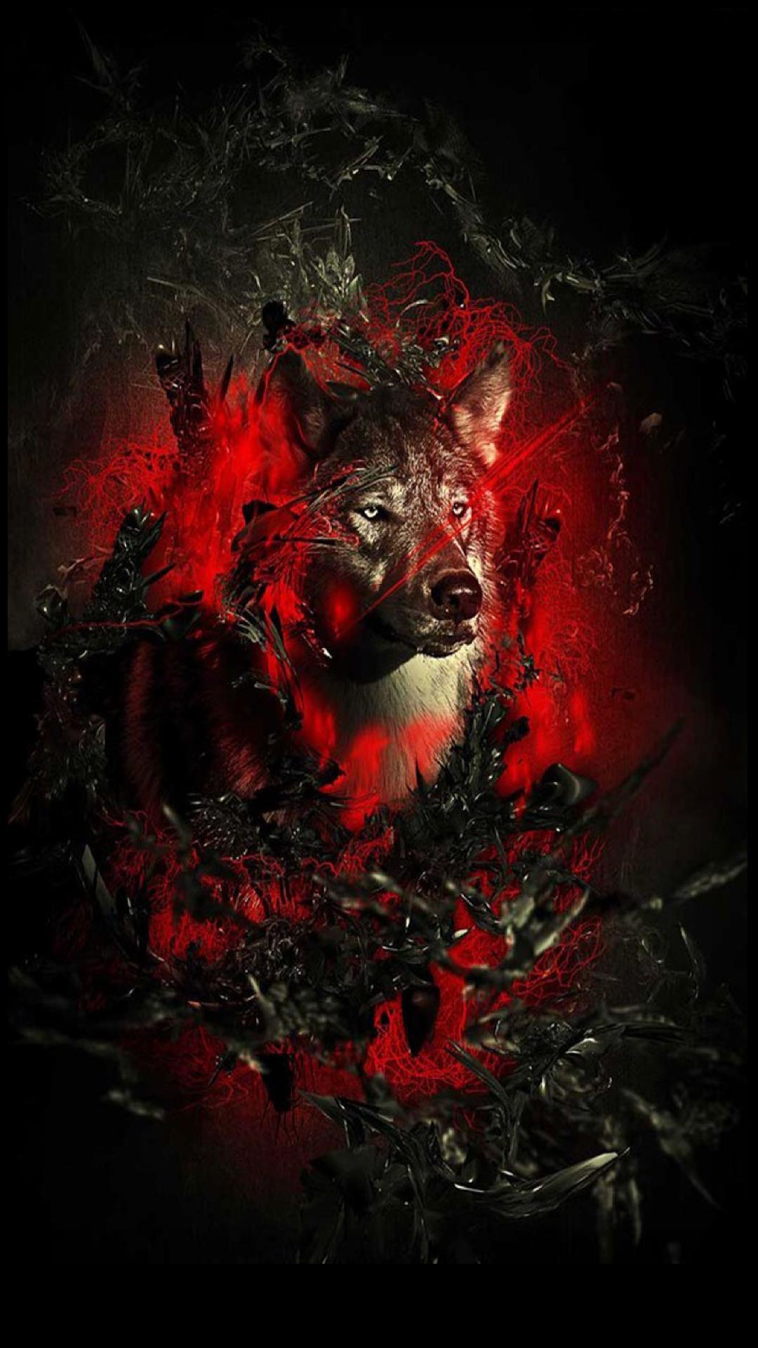 Red Wolf Wallpapers