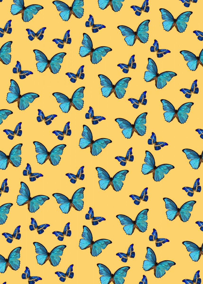 Yellow And Blue Butterfly Wallpapers