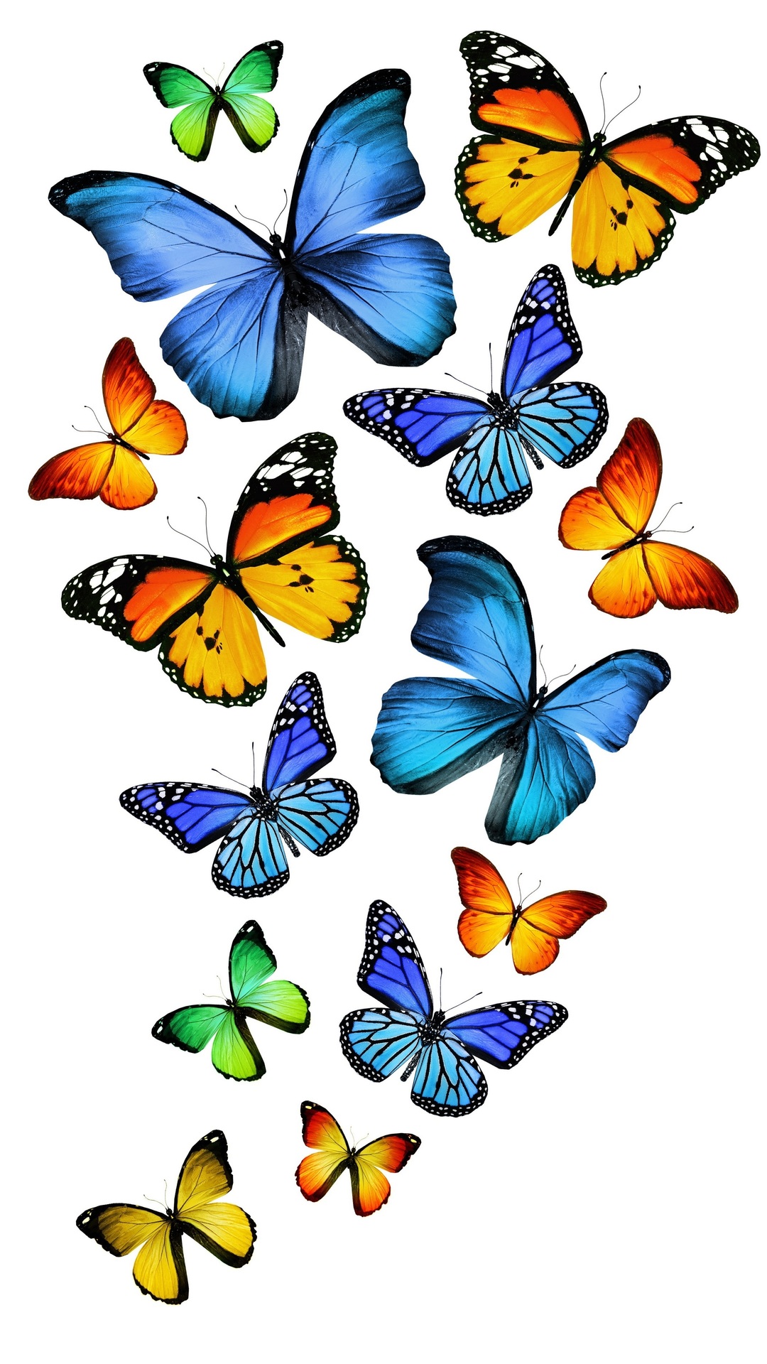 Yellow And Blue Butterfly Wallpapers