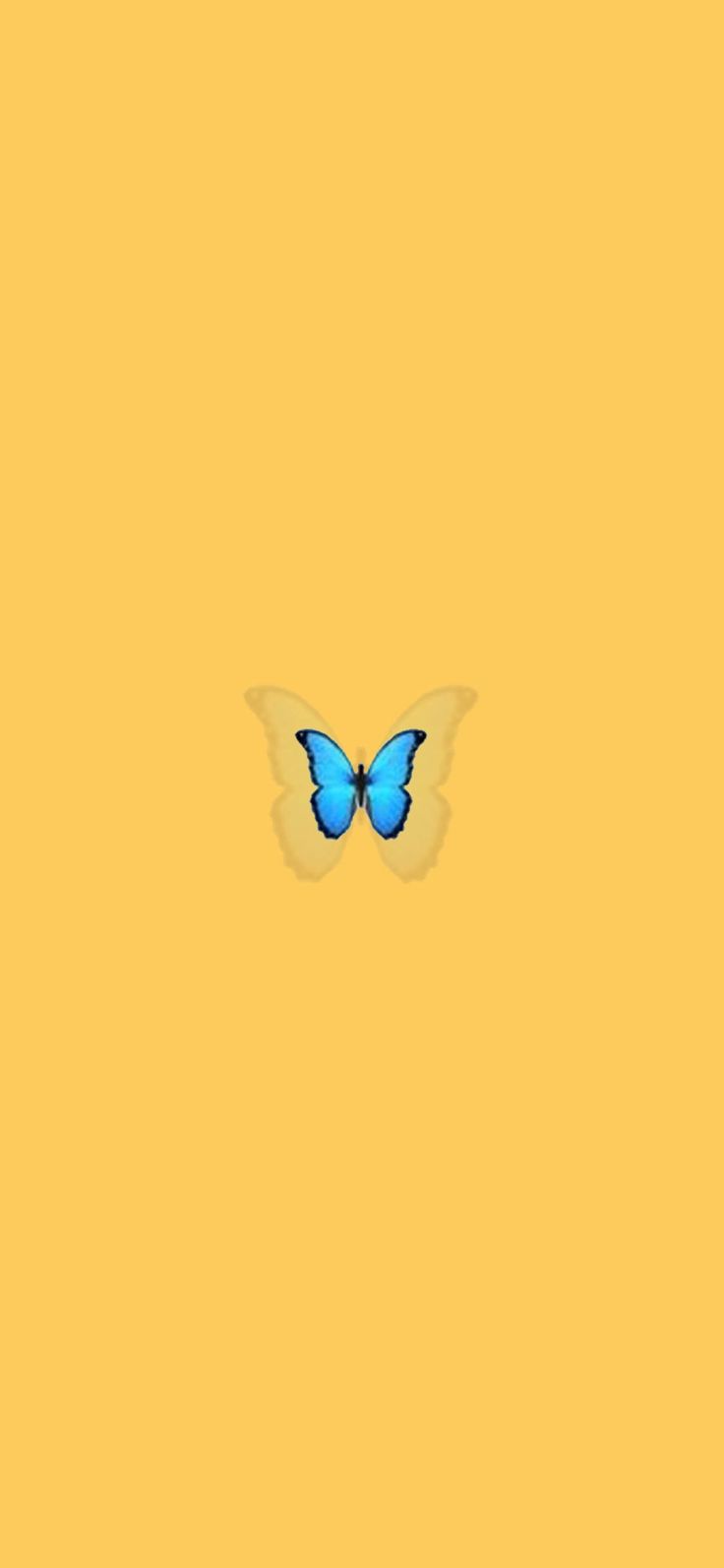 Yellow And Blue Butterfly Wallpapers