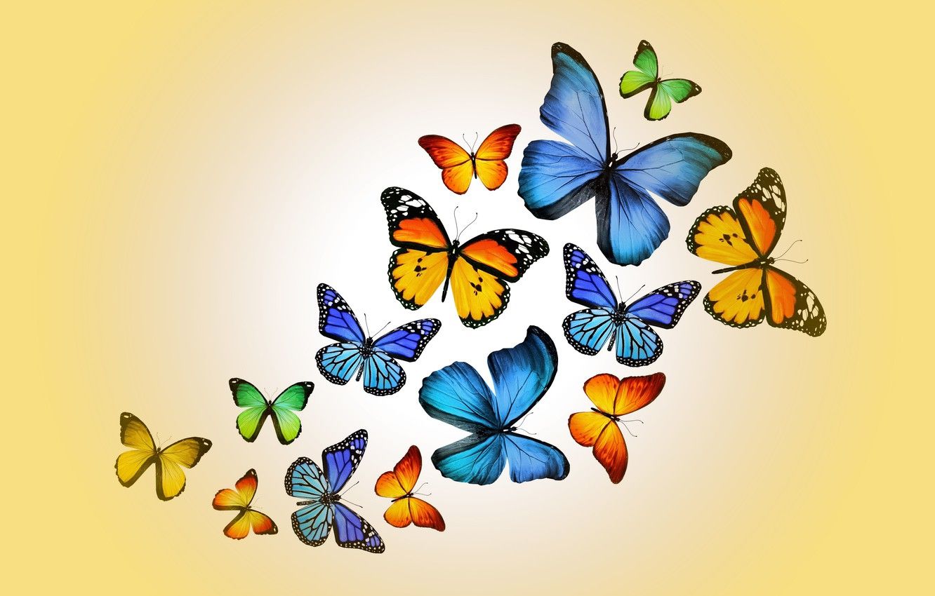 Yellow And Blue Butterfly Wallpapers