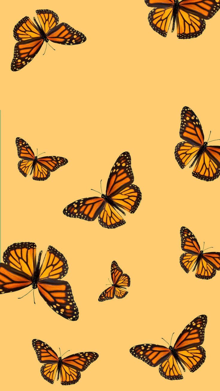 Yellow And Blue Butterfly Wallpapers