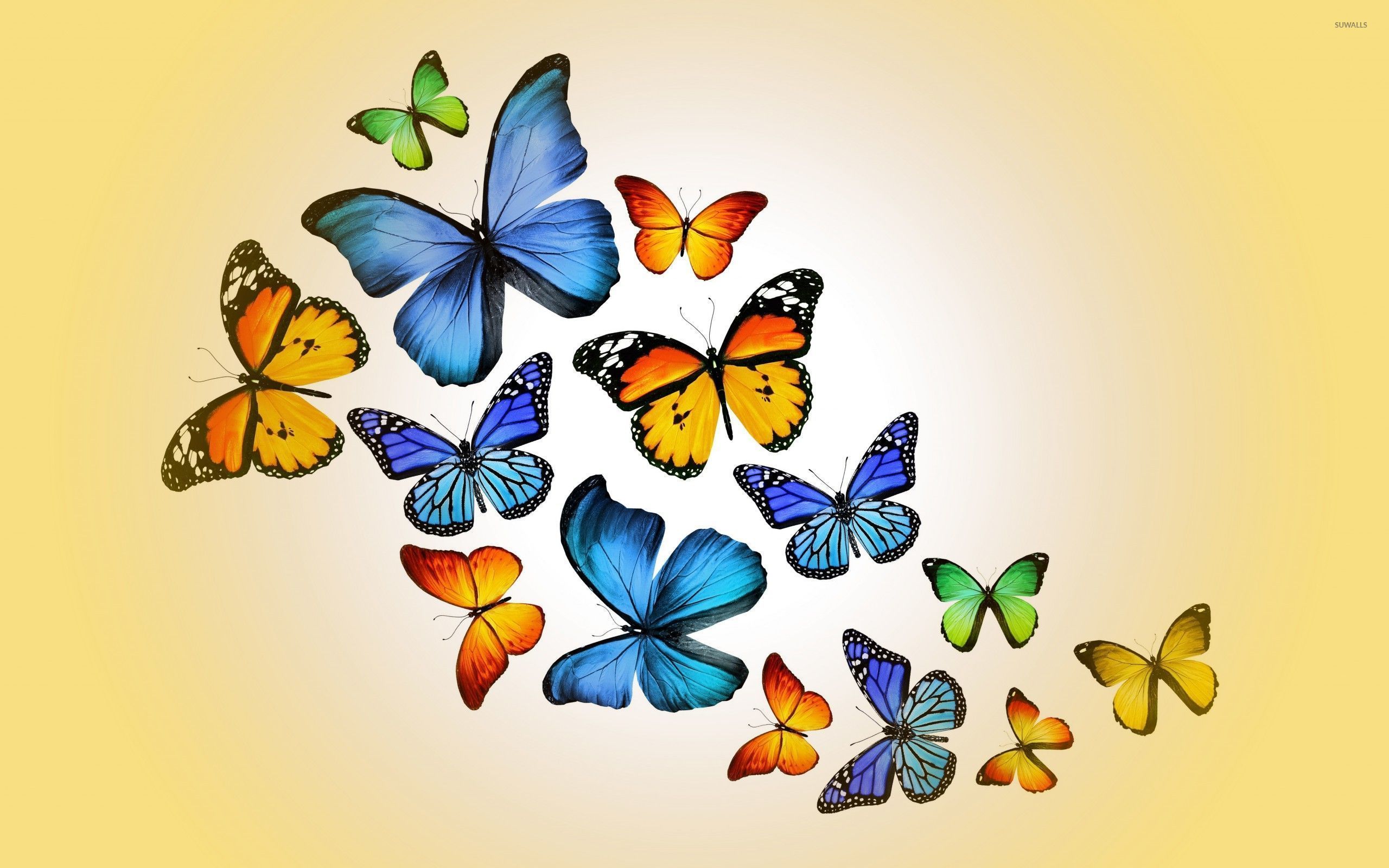 Yellow And Blue Butterfly Wallpapers