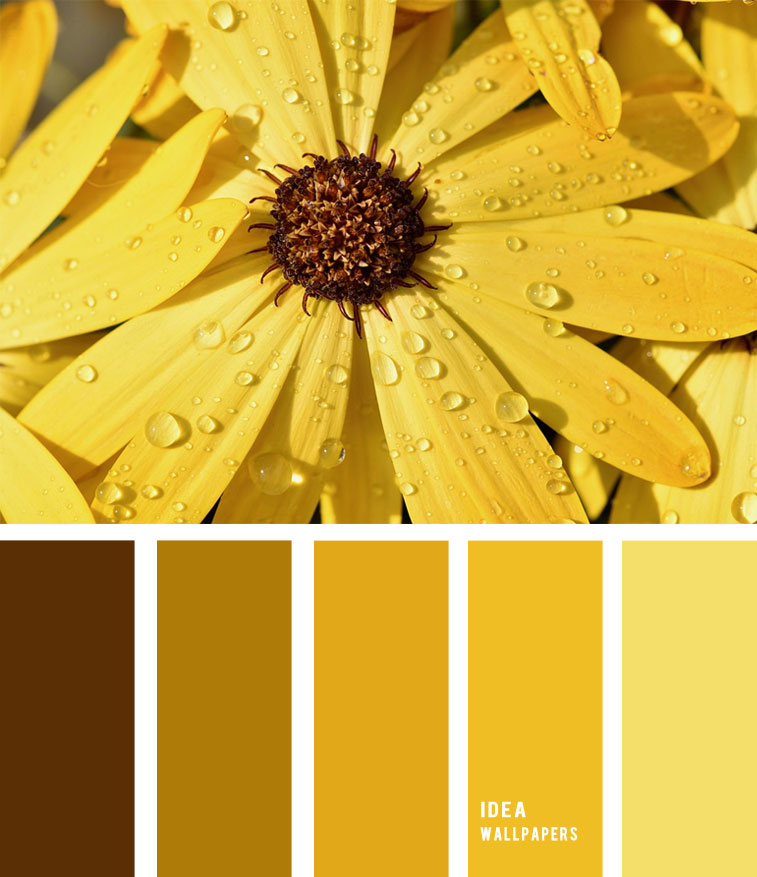 Yellow And Brown Wallpapers